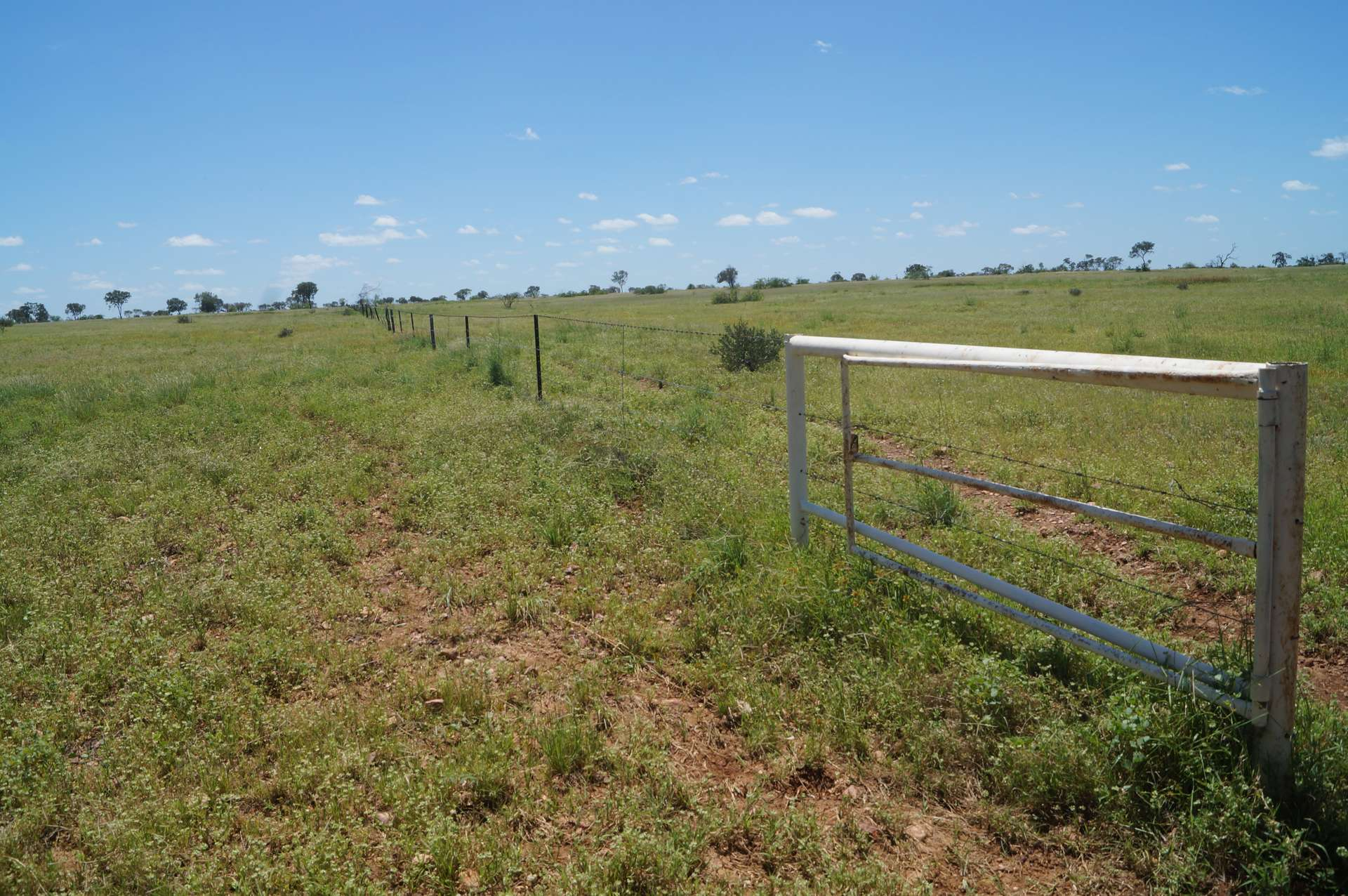 Cattle Property For Sale QLD