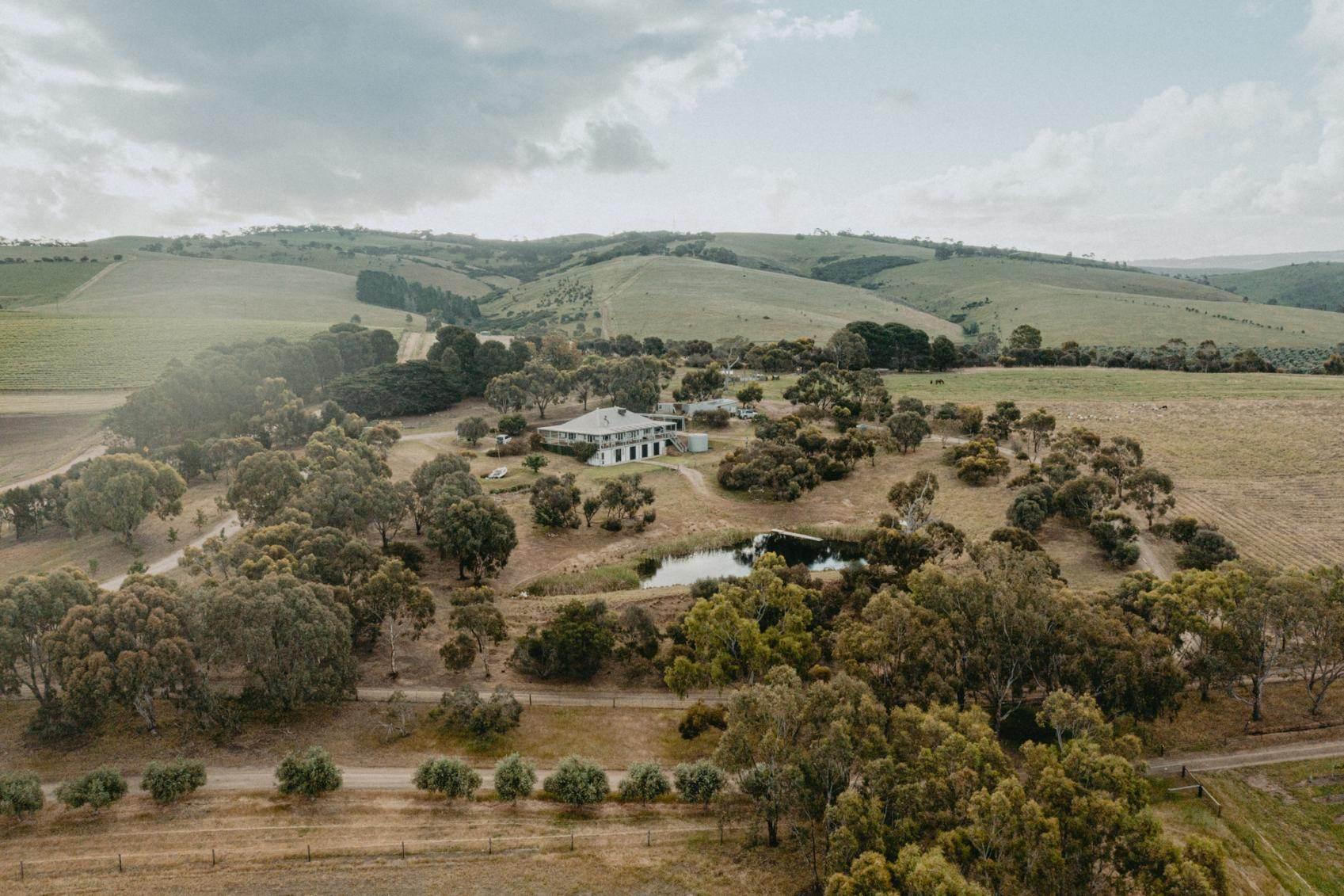 Wineries For Sale Australia