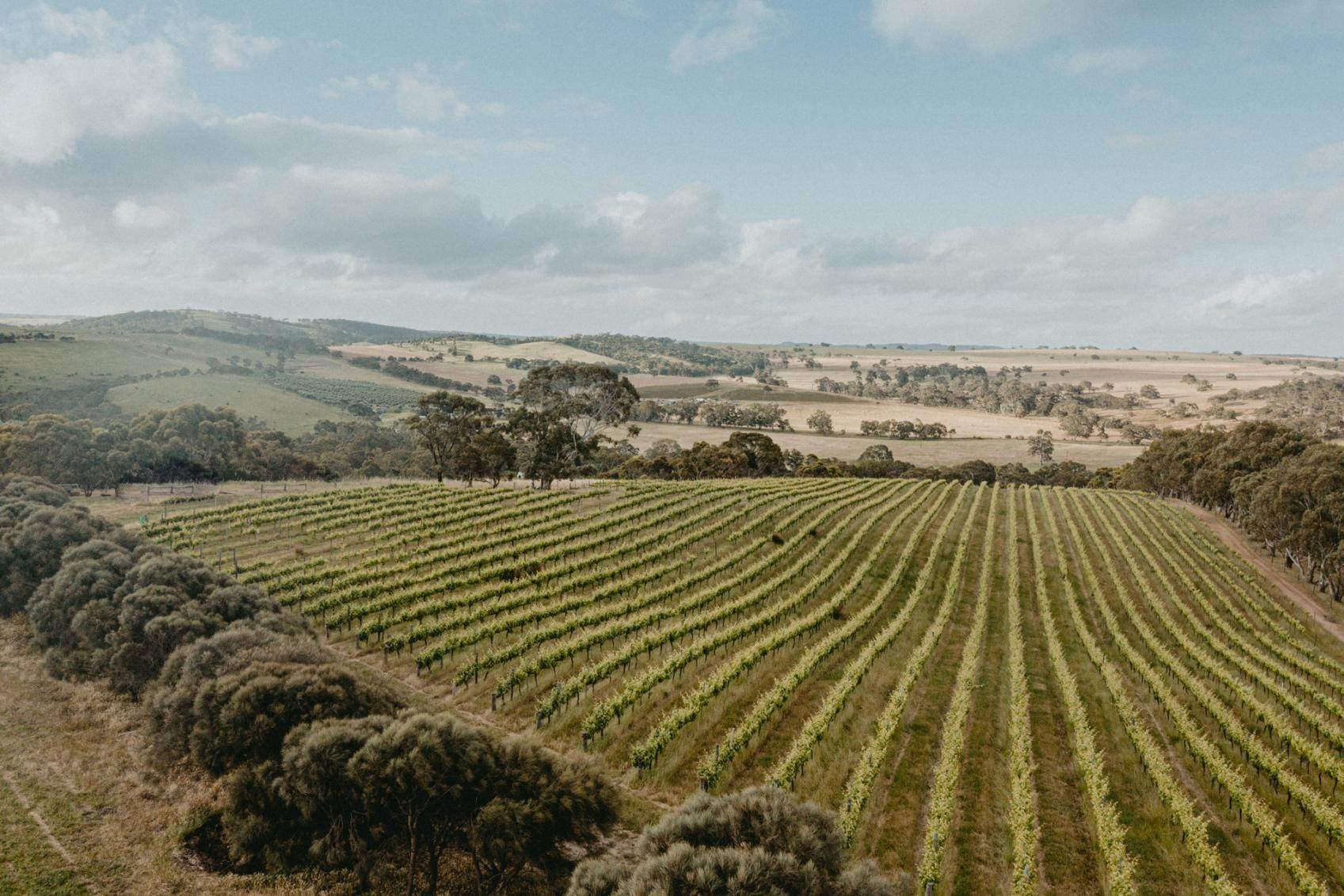 Wineries For Sale Australia