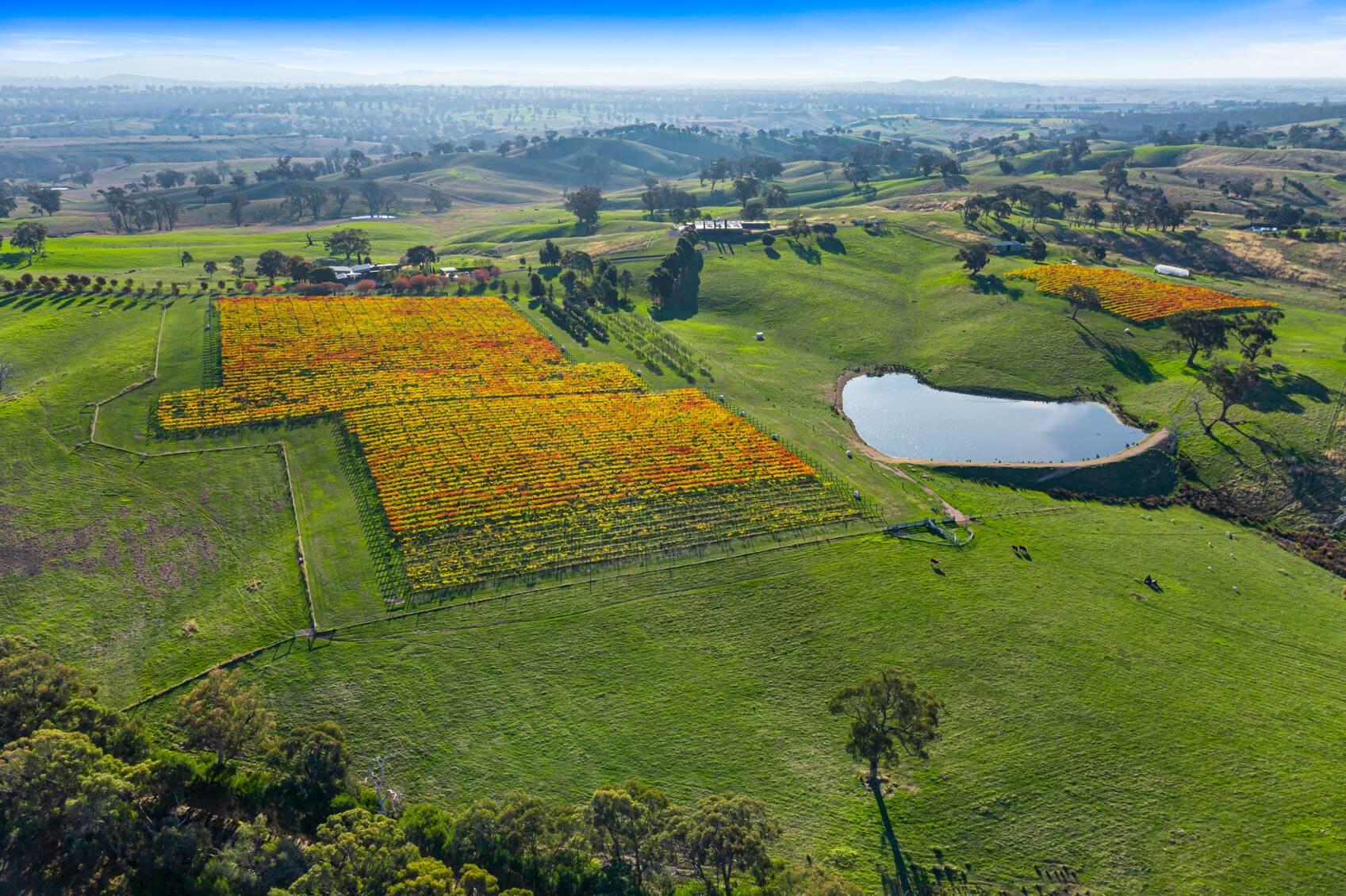 winery for sale Australia 