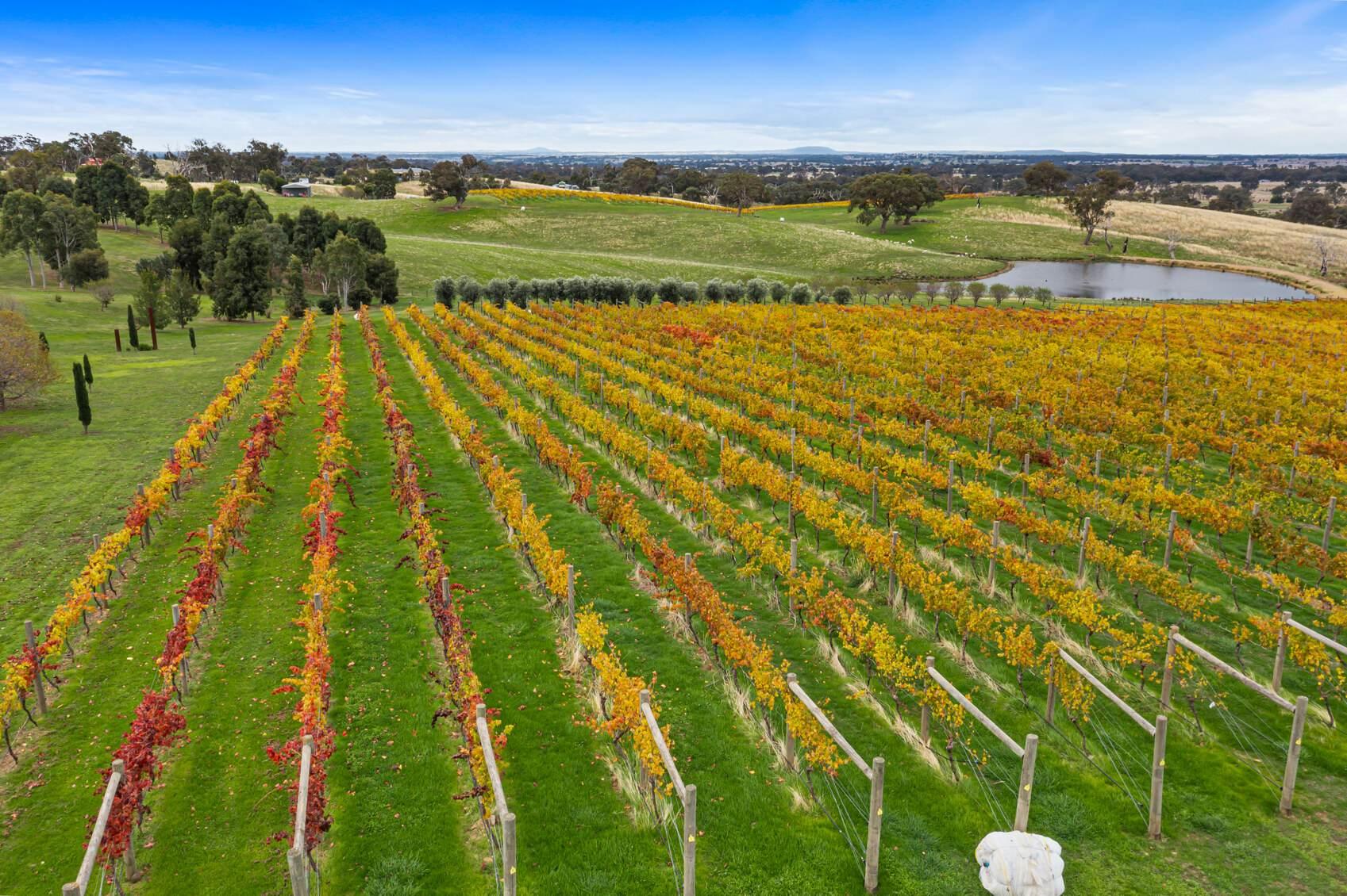 winery for sale Australia 