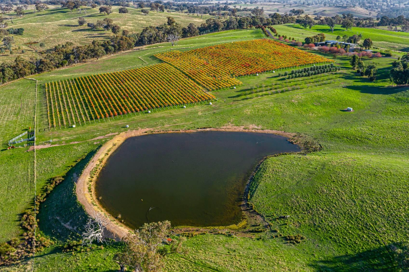 winery for sale Australia 