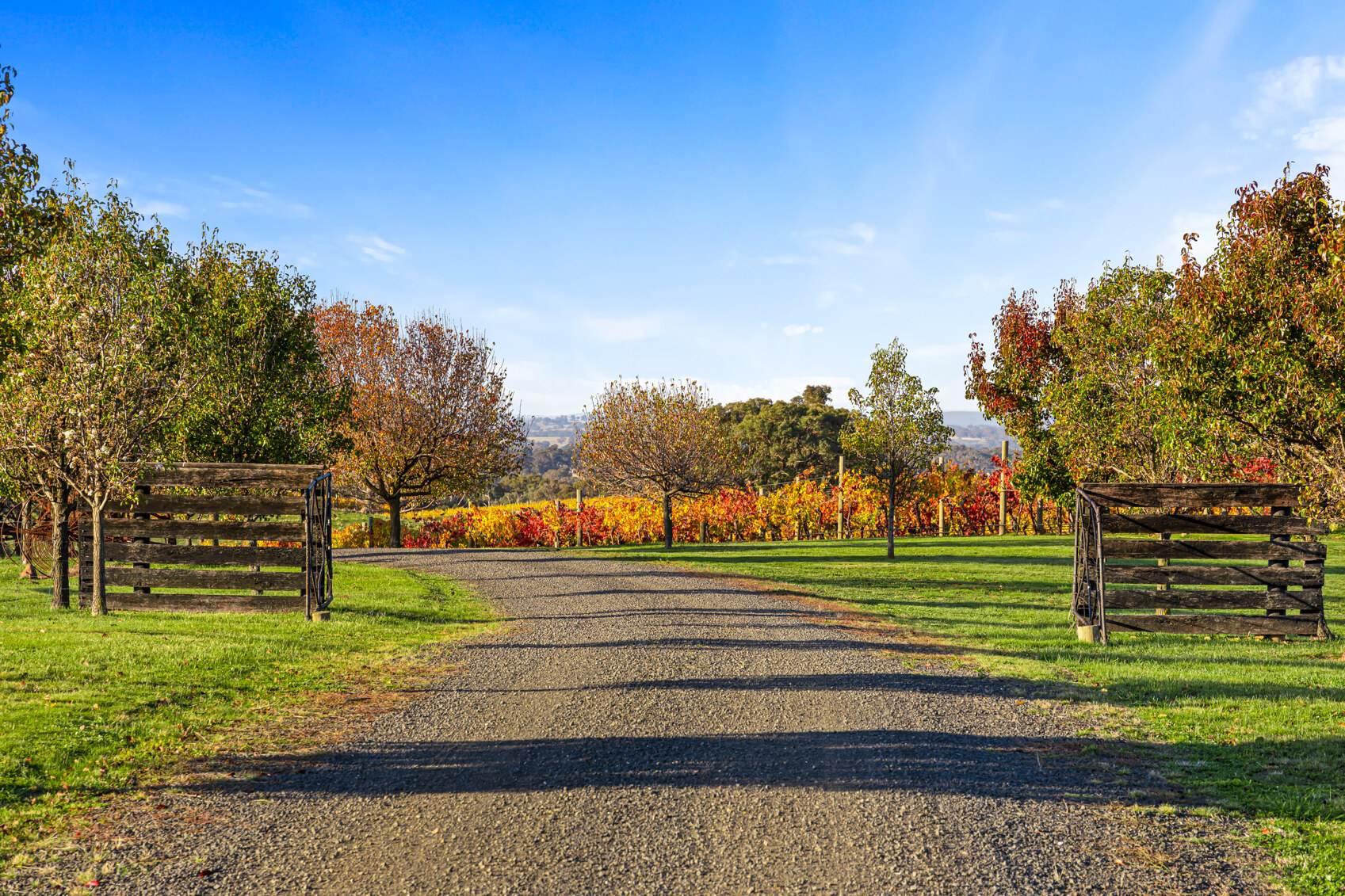 winery for sale Australia 