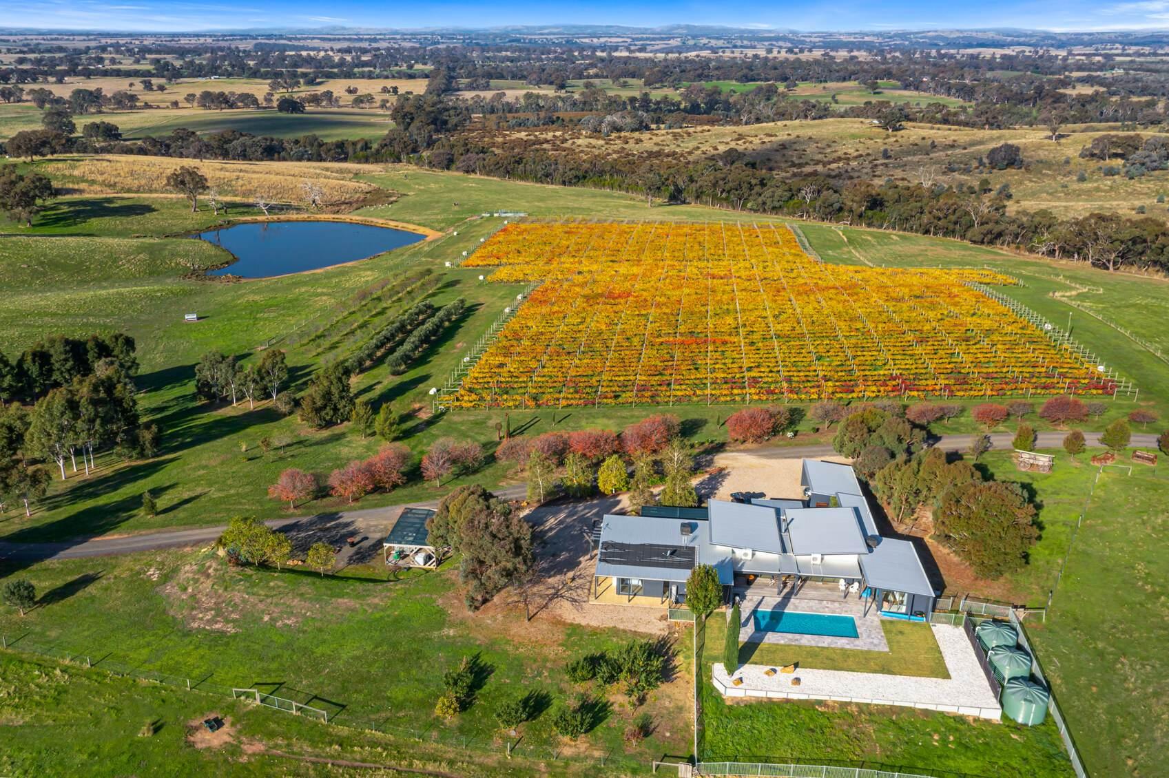 winery for sale Australia 