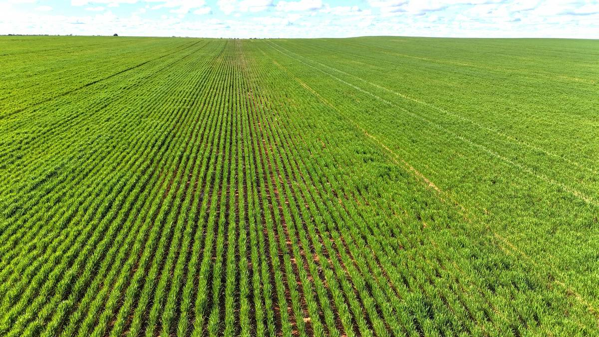 Mixed Farm For Sale VIC