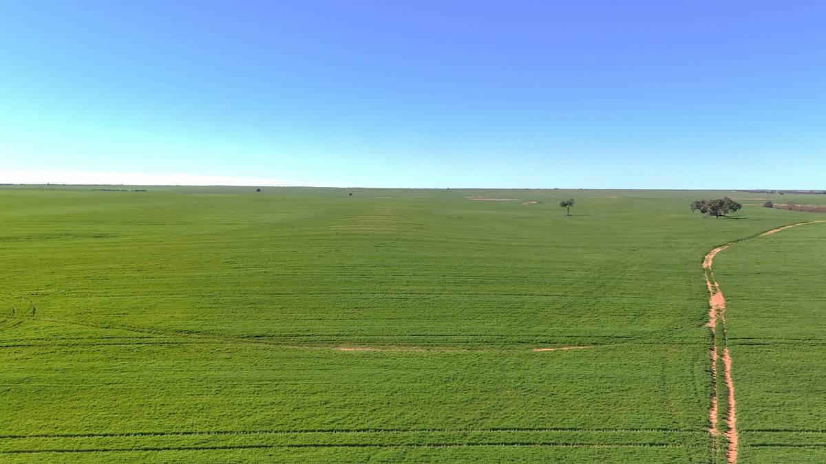 Mixed Farm For Sale VIC