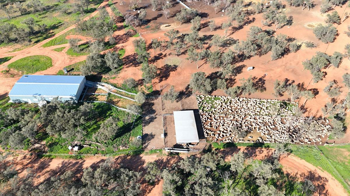 Mixed Farm For Sale VIC