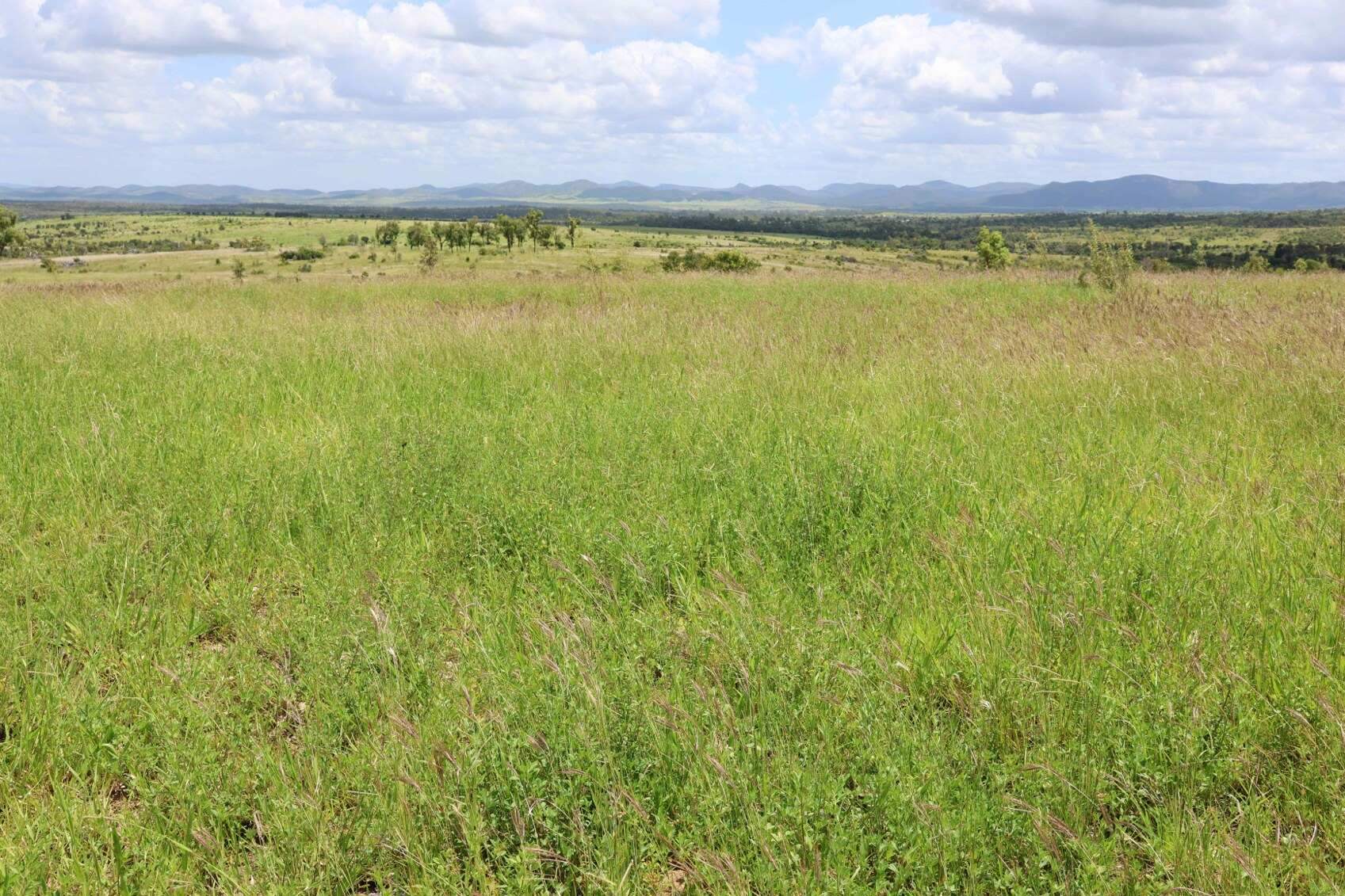 rural property for sale QLD