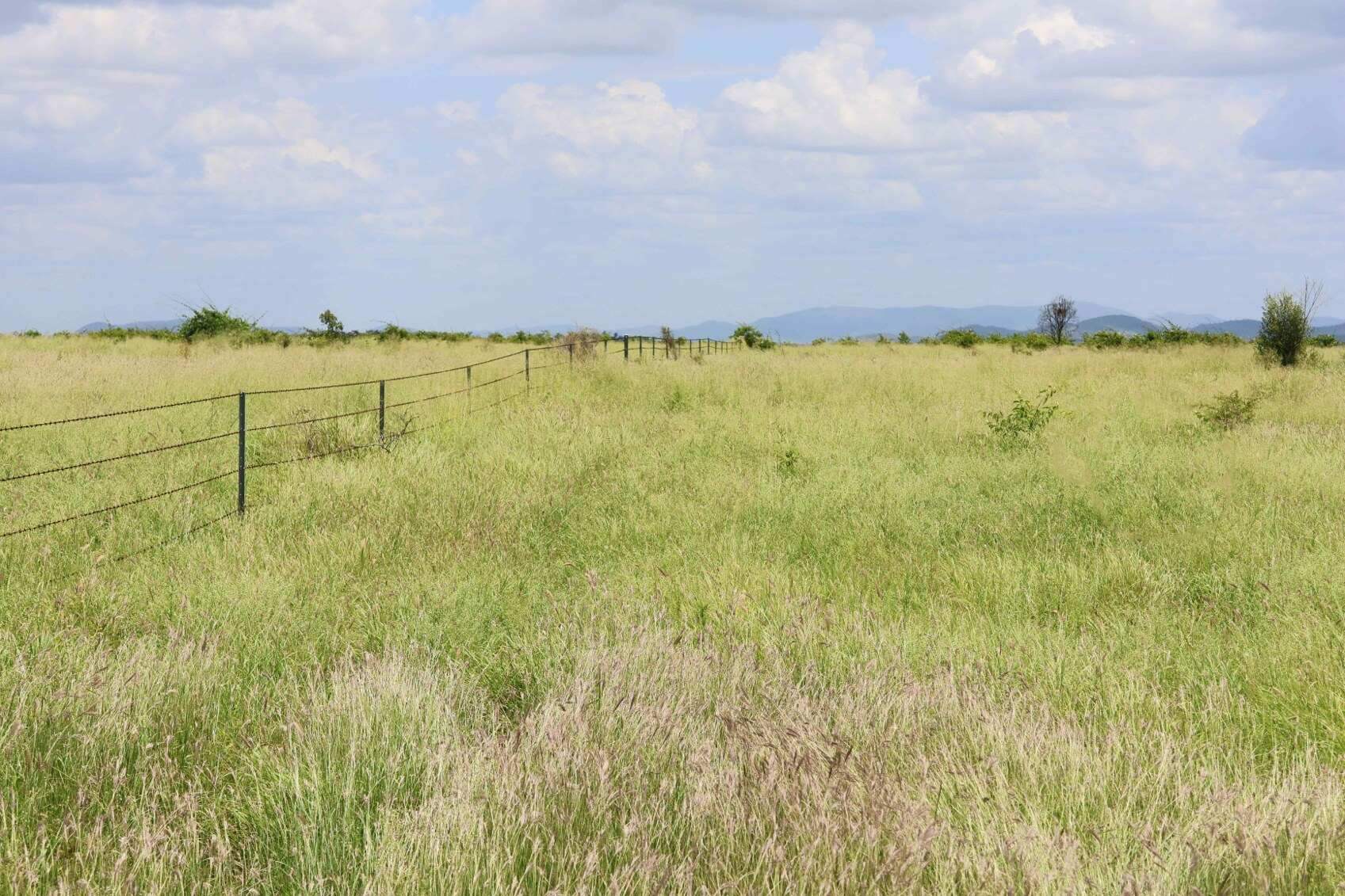 rural property for sale QLD