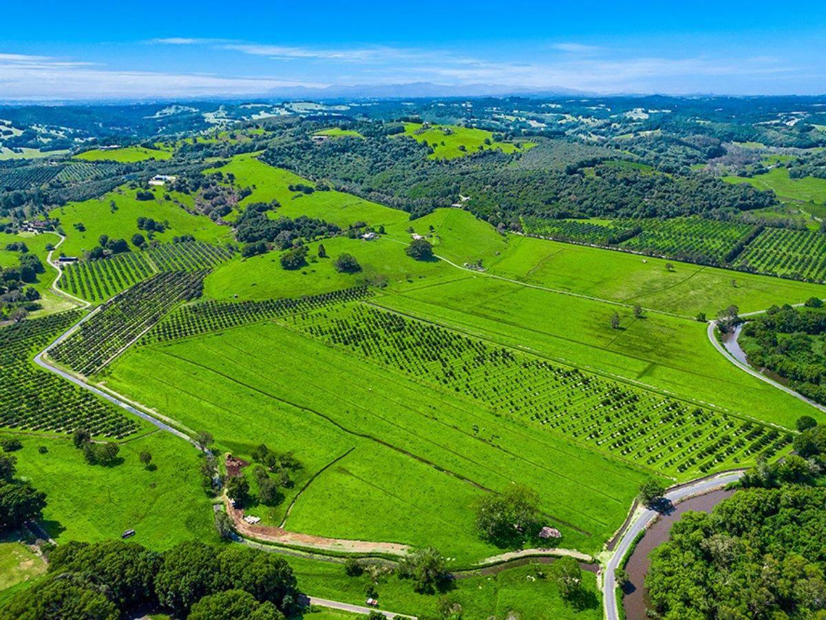 Australia's 10 Most Expensive Commercial Farms For Sale