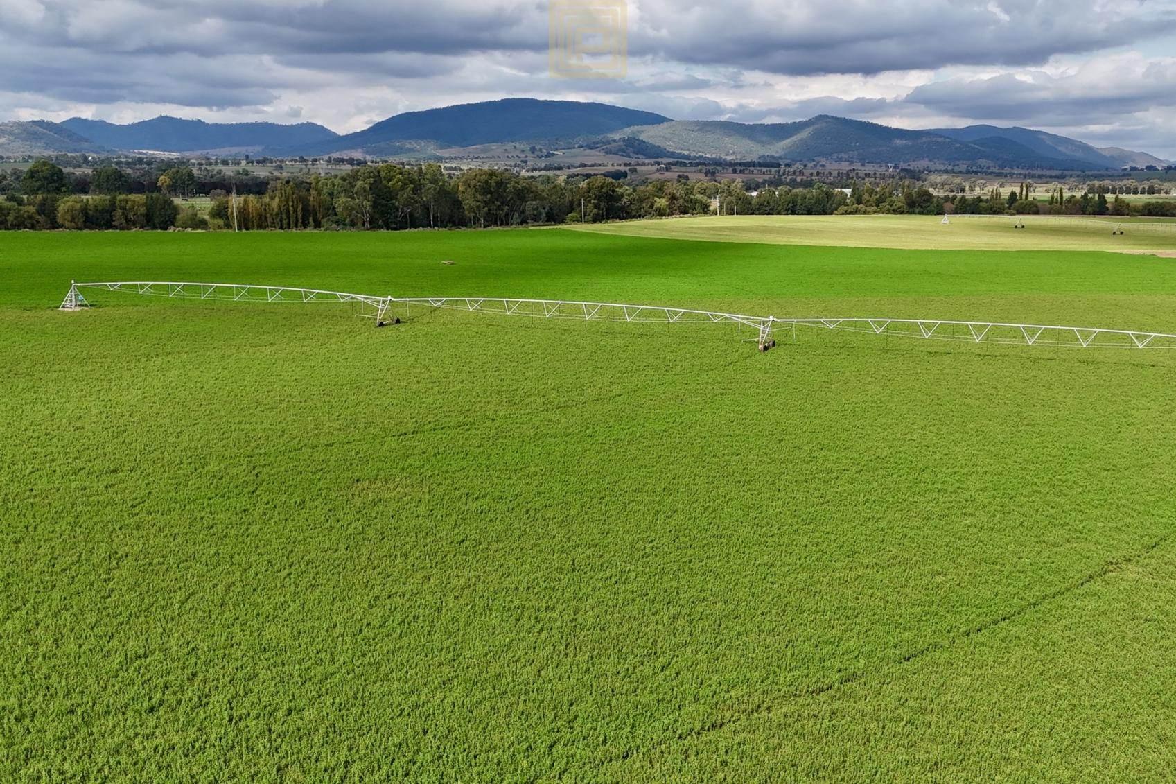 Rural Property For Sale Hunter Region NSW