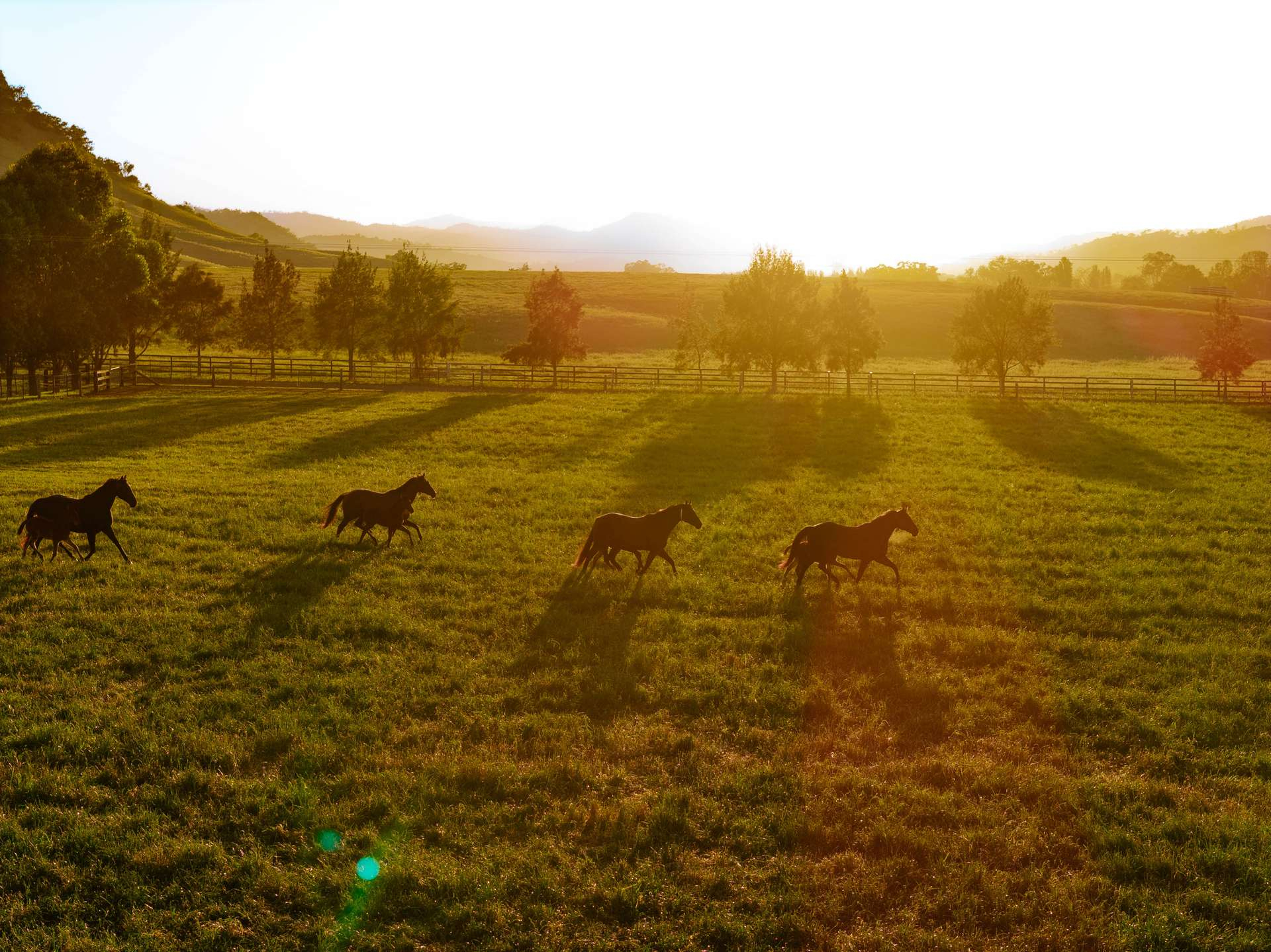 equine property for sale NSW