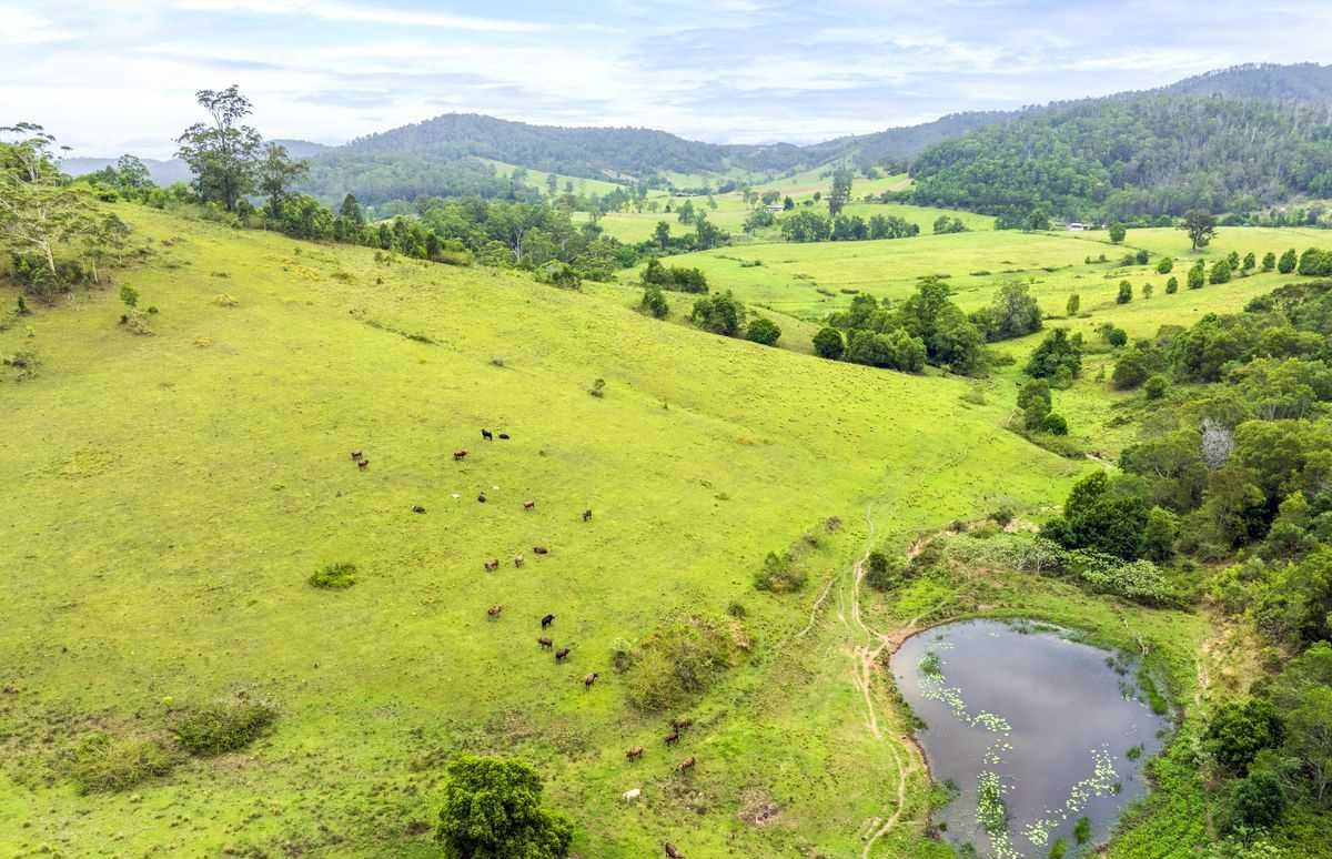 Riverfront rural property for sale NSW