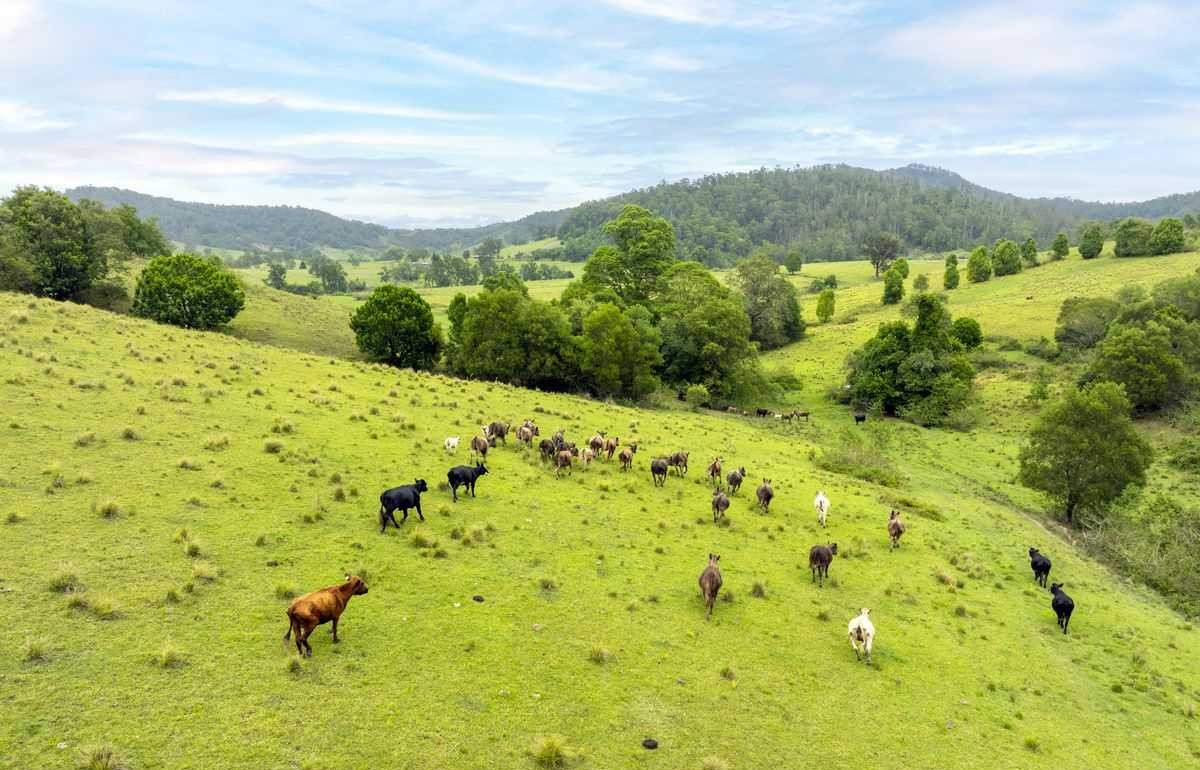 Riverfront rural property for sale NSW