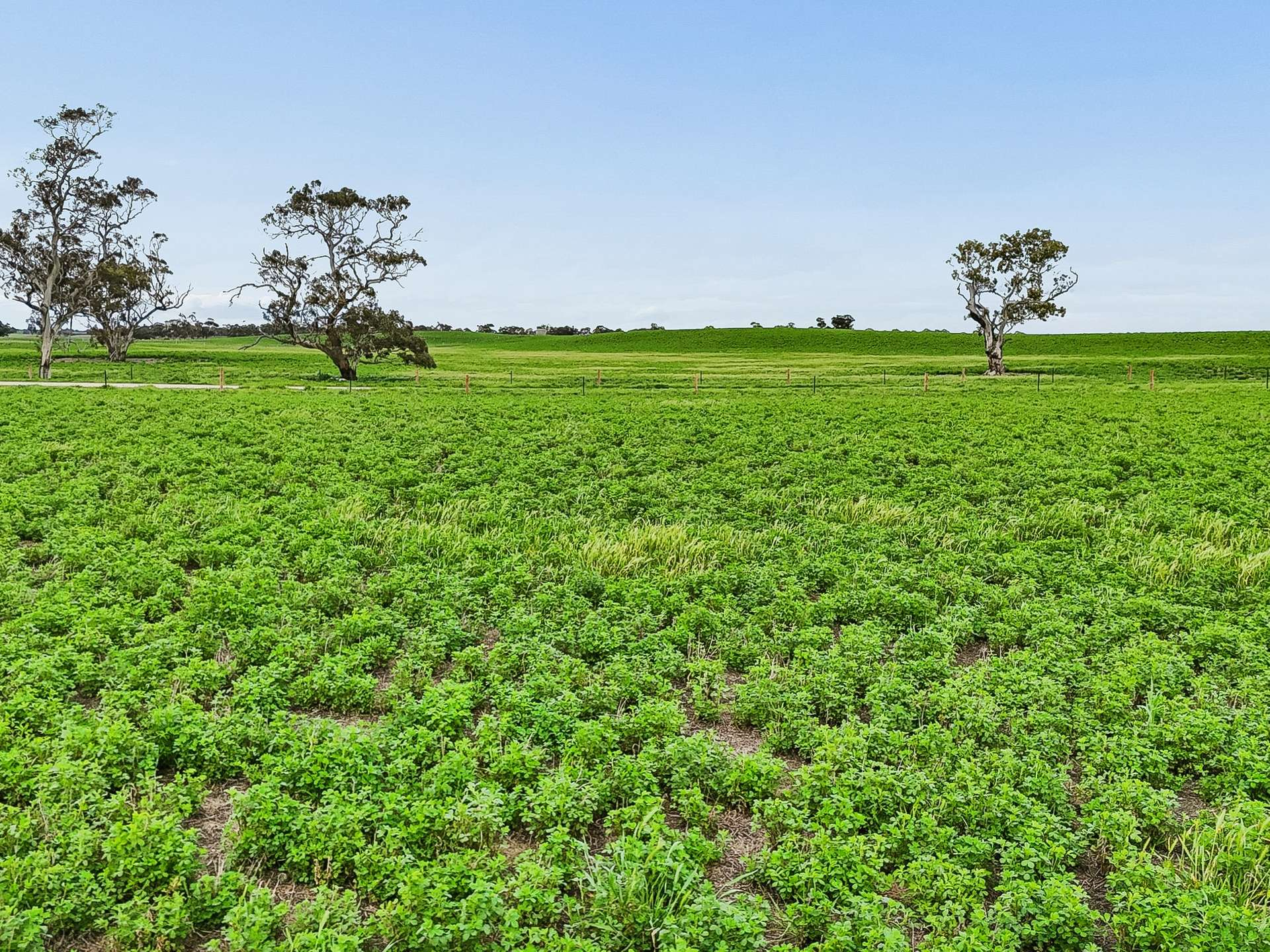 Mixed Farm For Sale SA 