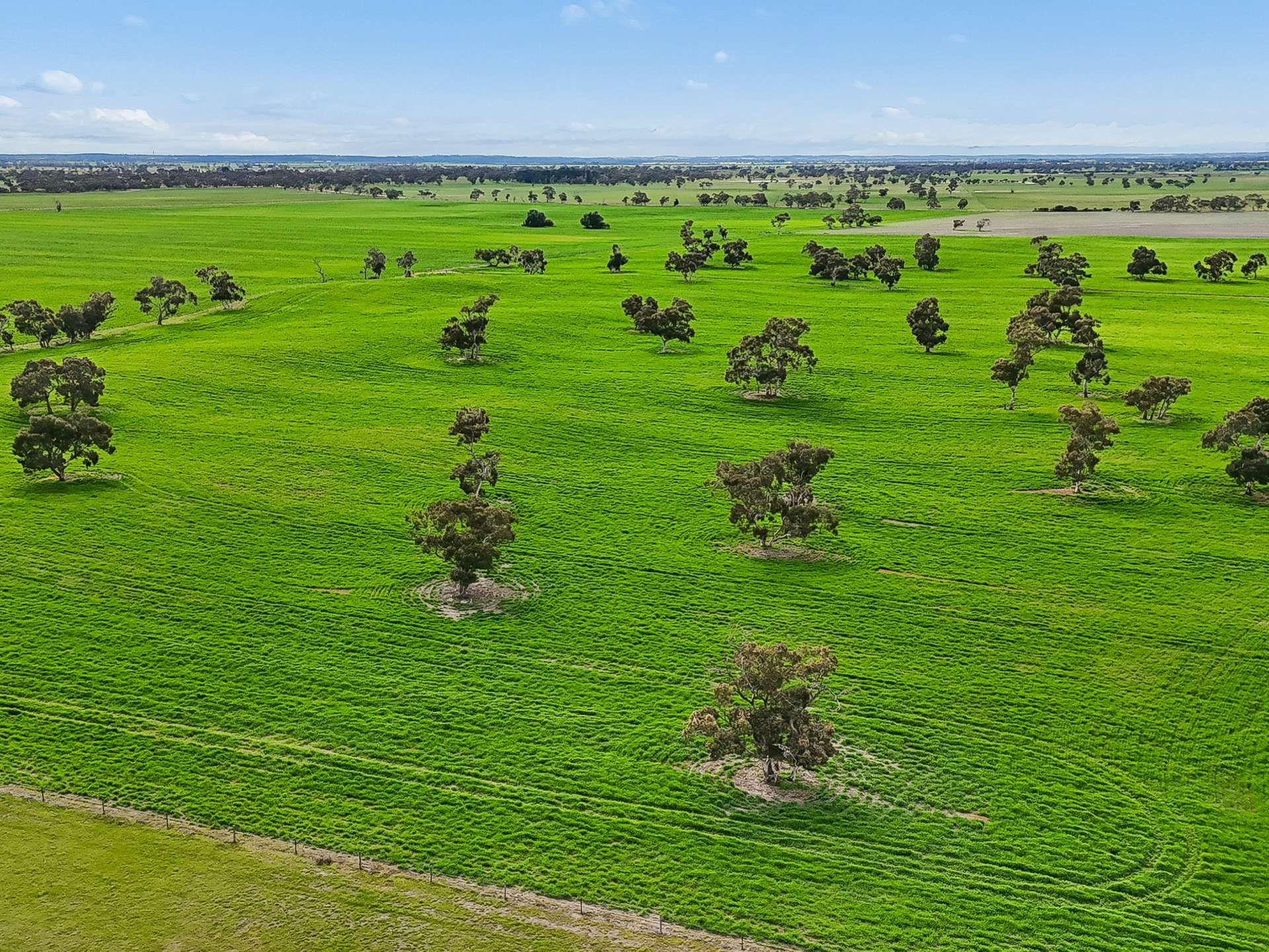 Mixed Farm For Sale SA 
