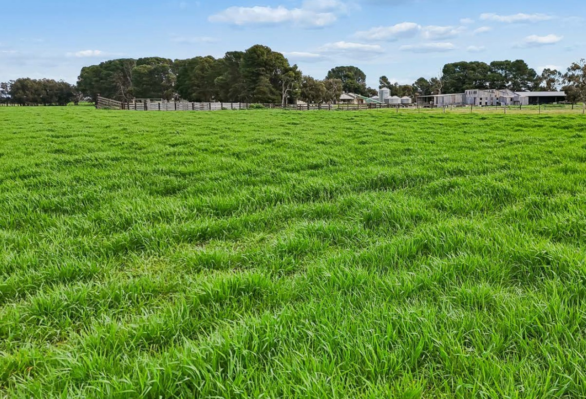 mixed farm for sale SA