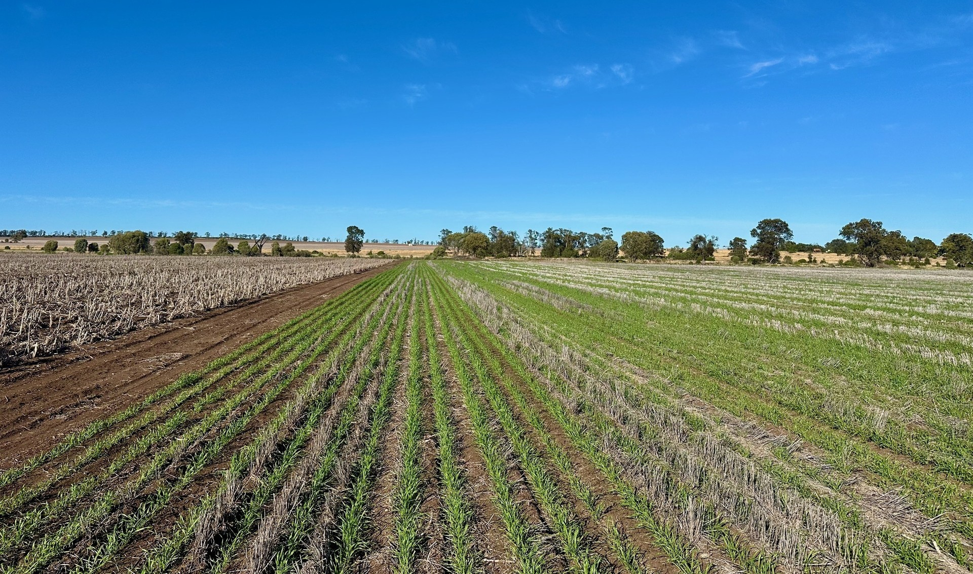 rural property for sale NSW