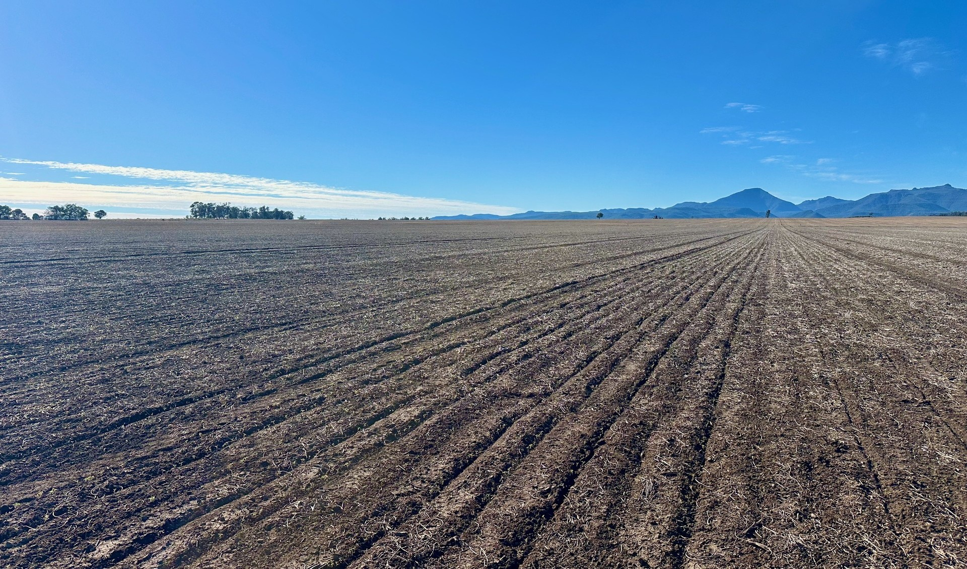 rural property for sale NSW