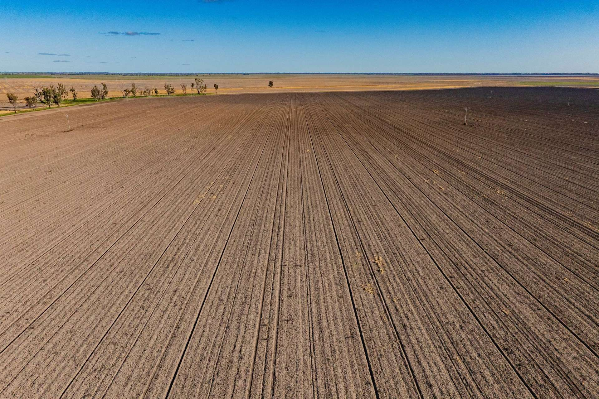 Farm For Sale NSW