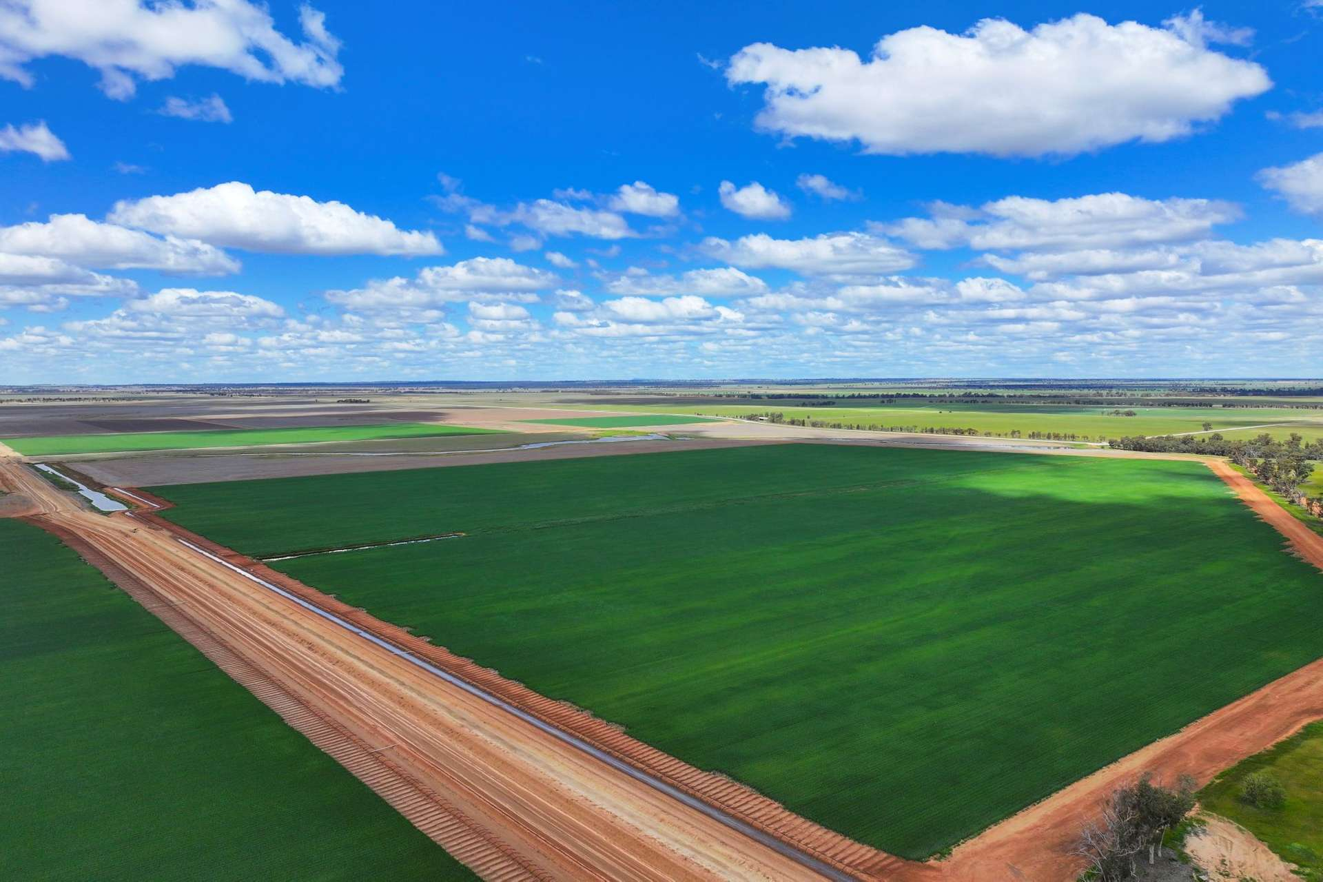 Farm For Sale NSW