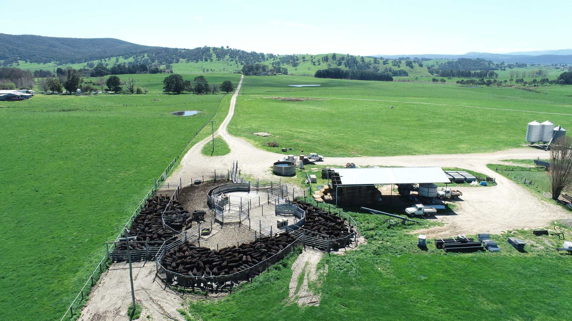 cattle station for sale NSW