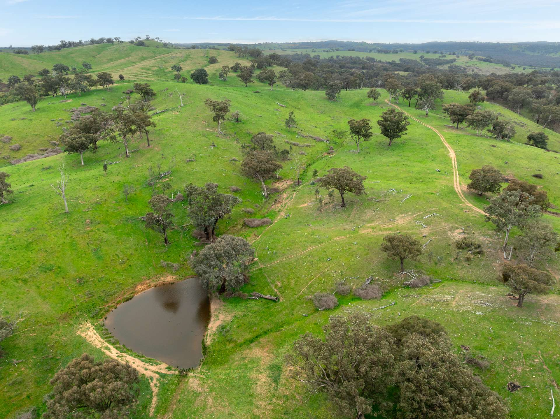 Rural Property For Sale NSW