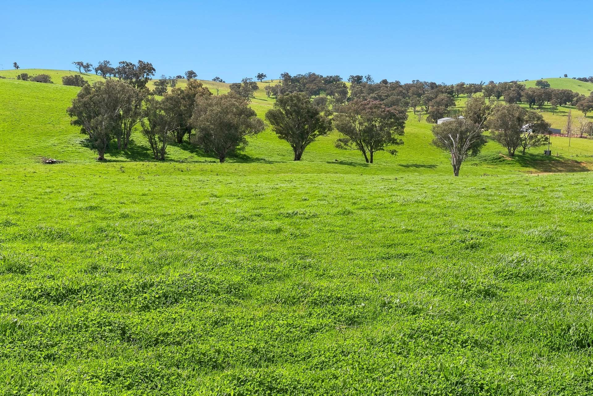 Rural Property For Sale NSW