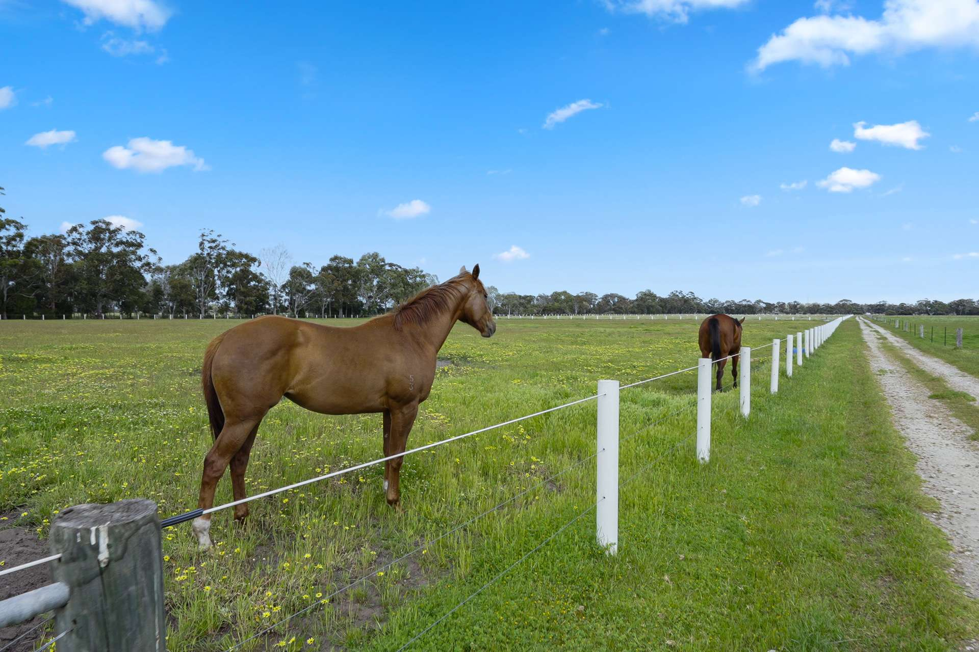 Rural Property For Sale WA