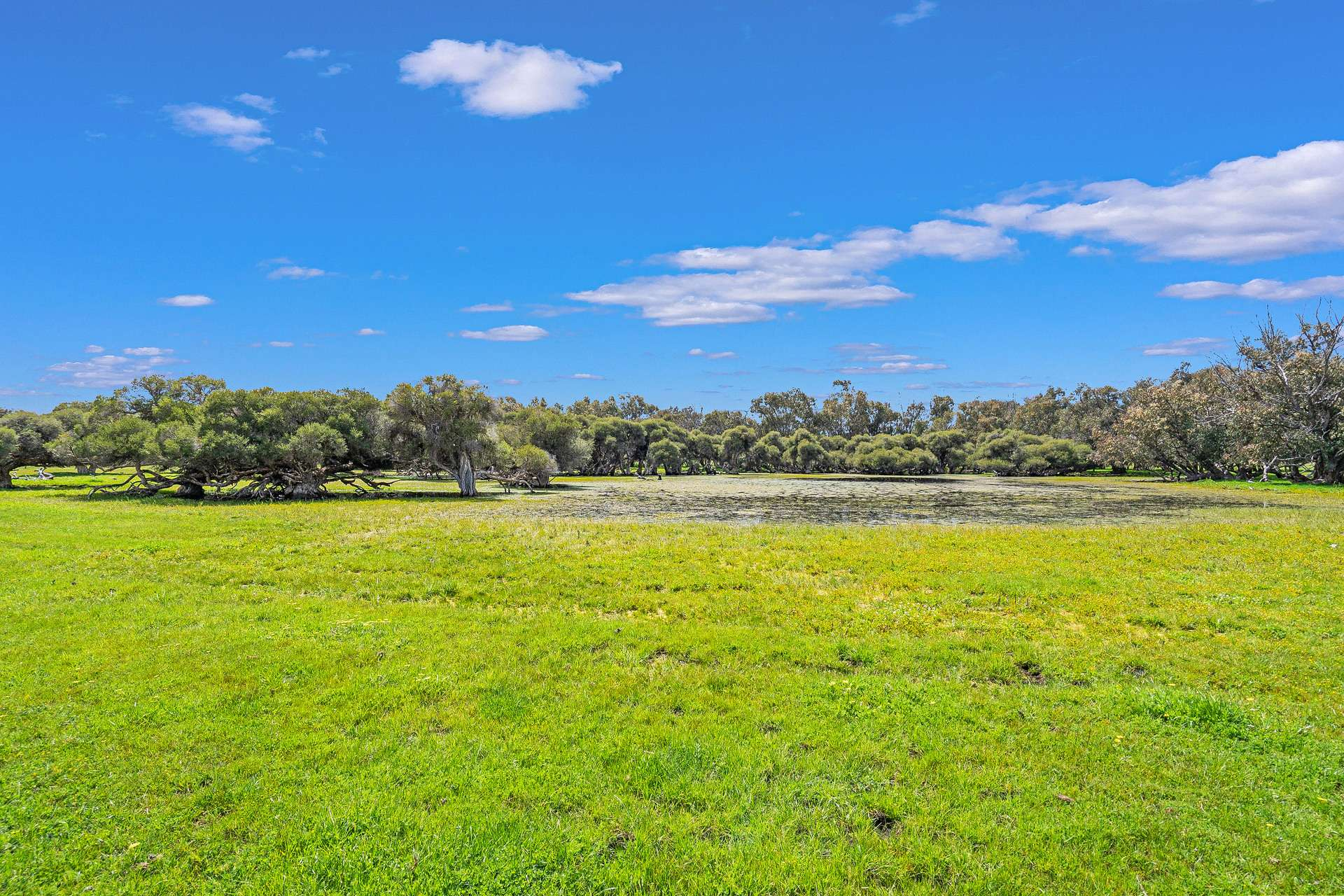 Rural Property For Sale WA