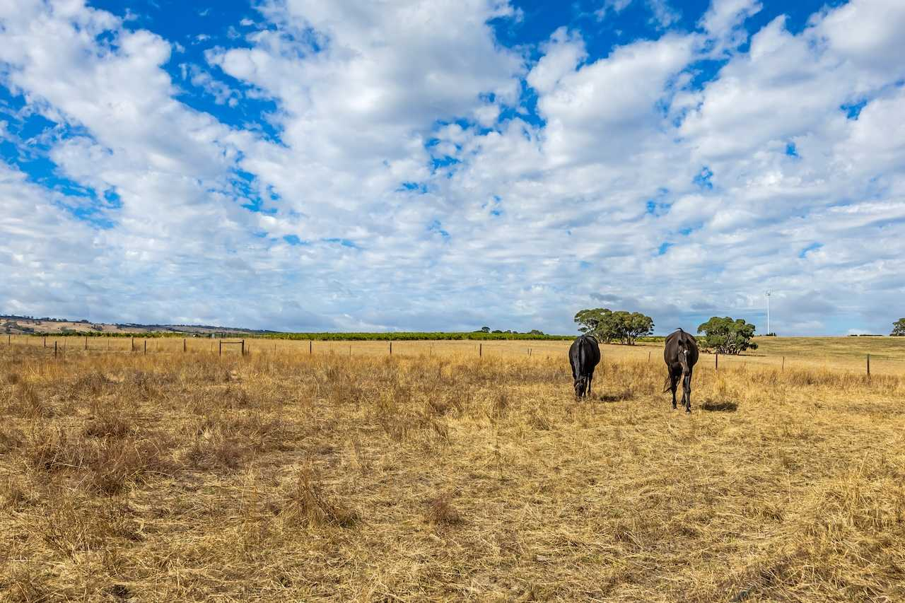 rural lifestyle property for sale SA