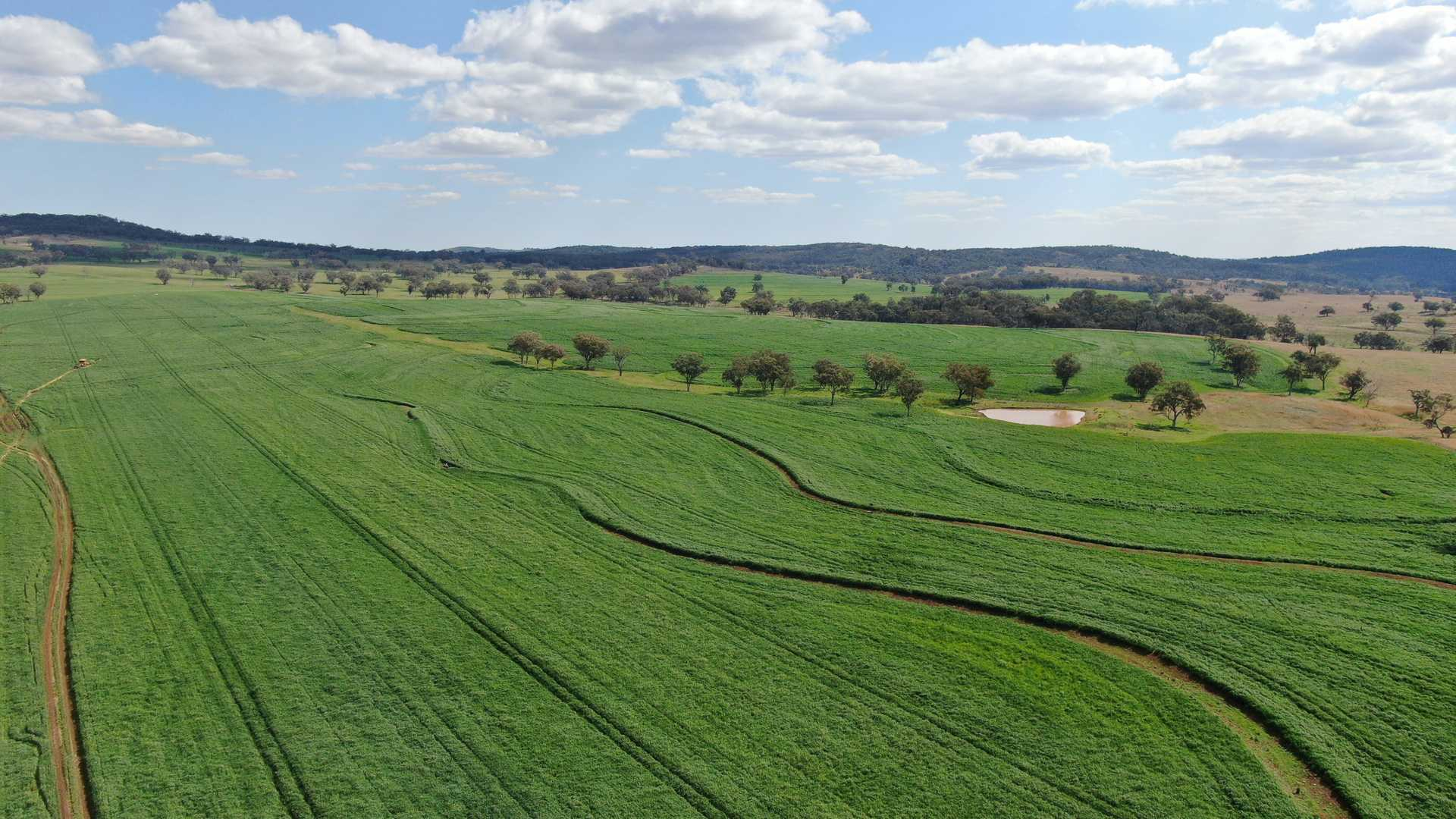 Farm For Sale NSW