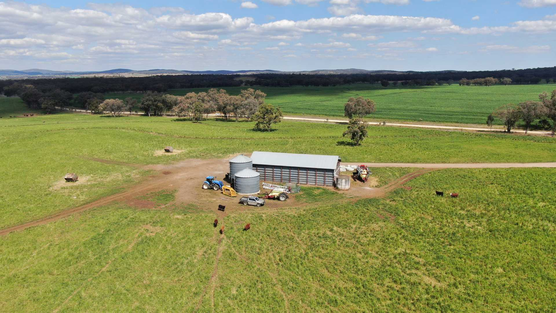 Farm For Sale NSW