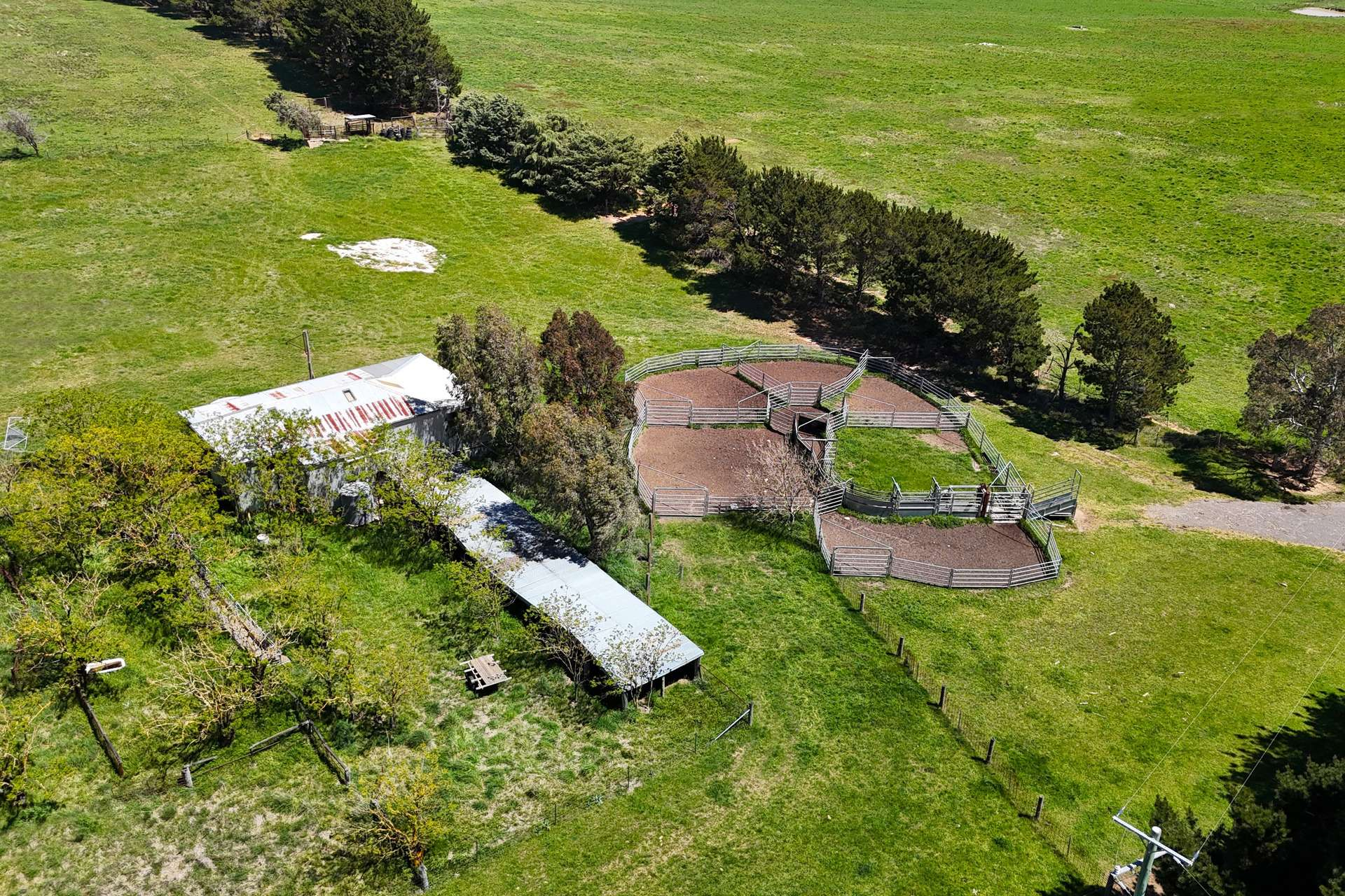 cattle property for sale NSW