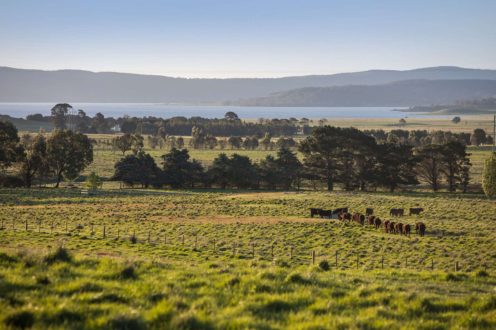 cattle property for sale NSW