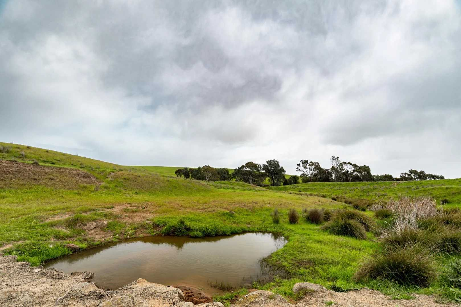 rural property for sale NSW