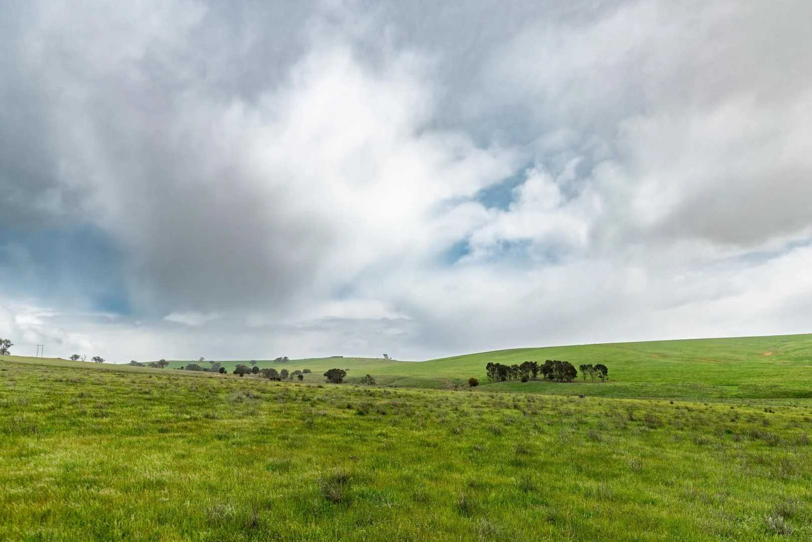 rural property for sale NSW