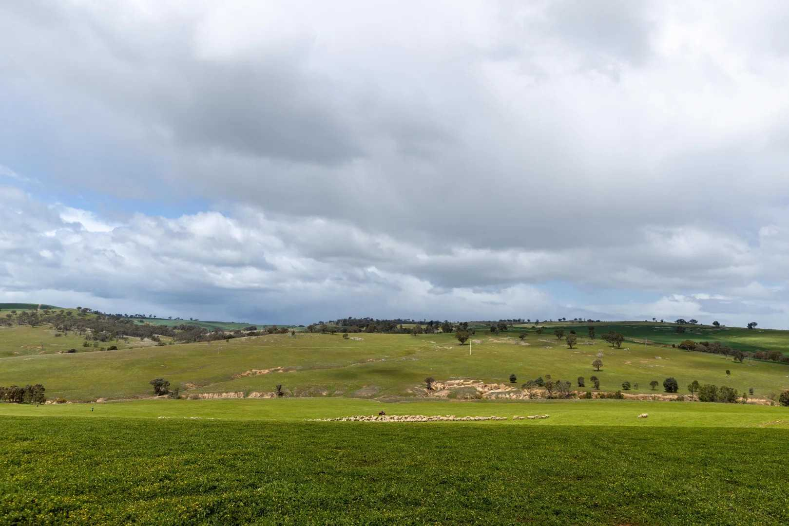 rural property for sale NSW