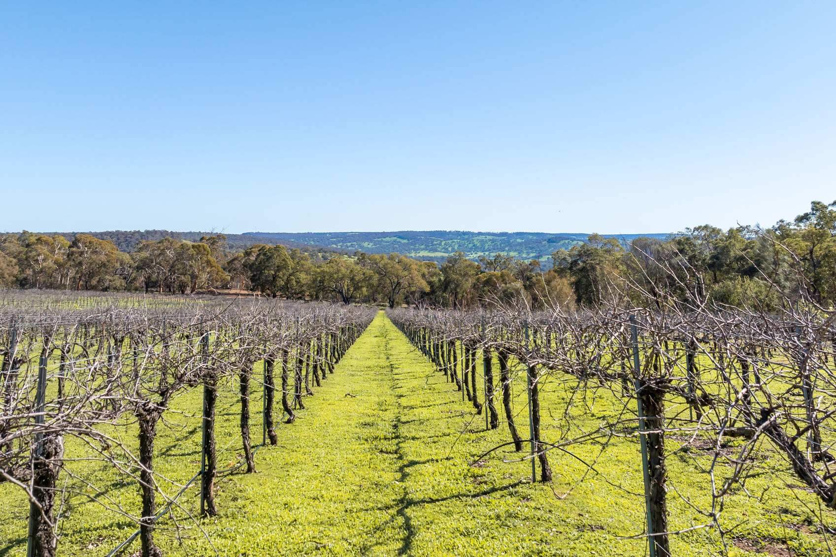 rural property for sale WA