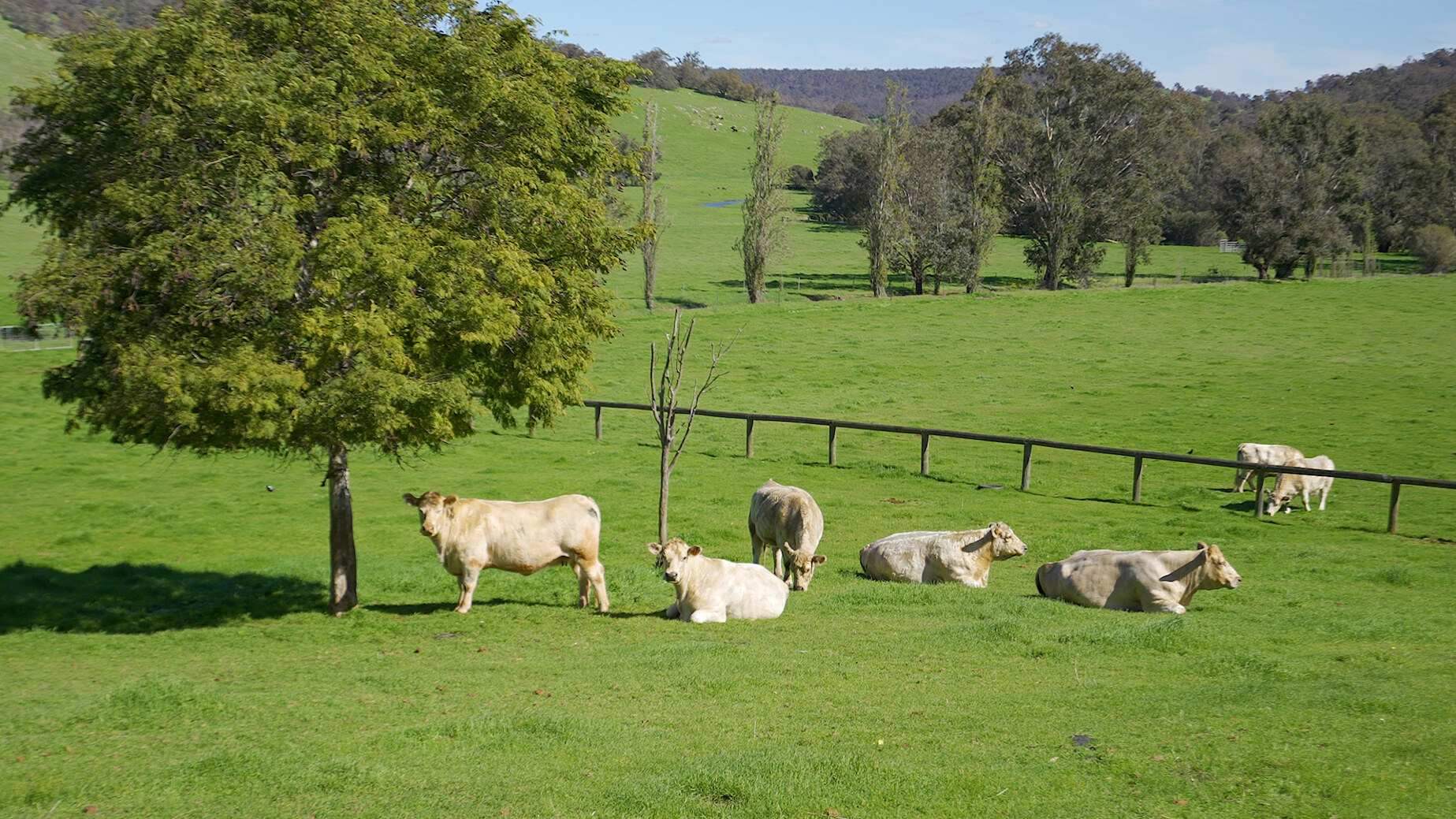 rural property for sale WA