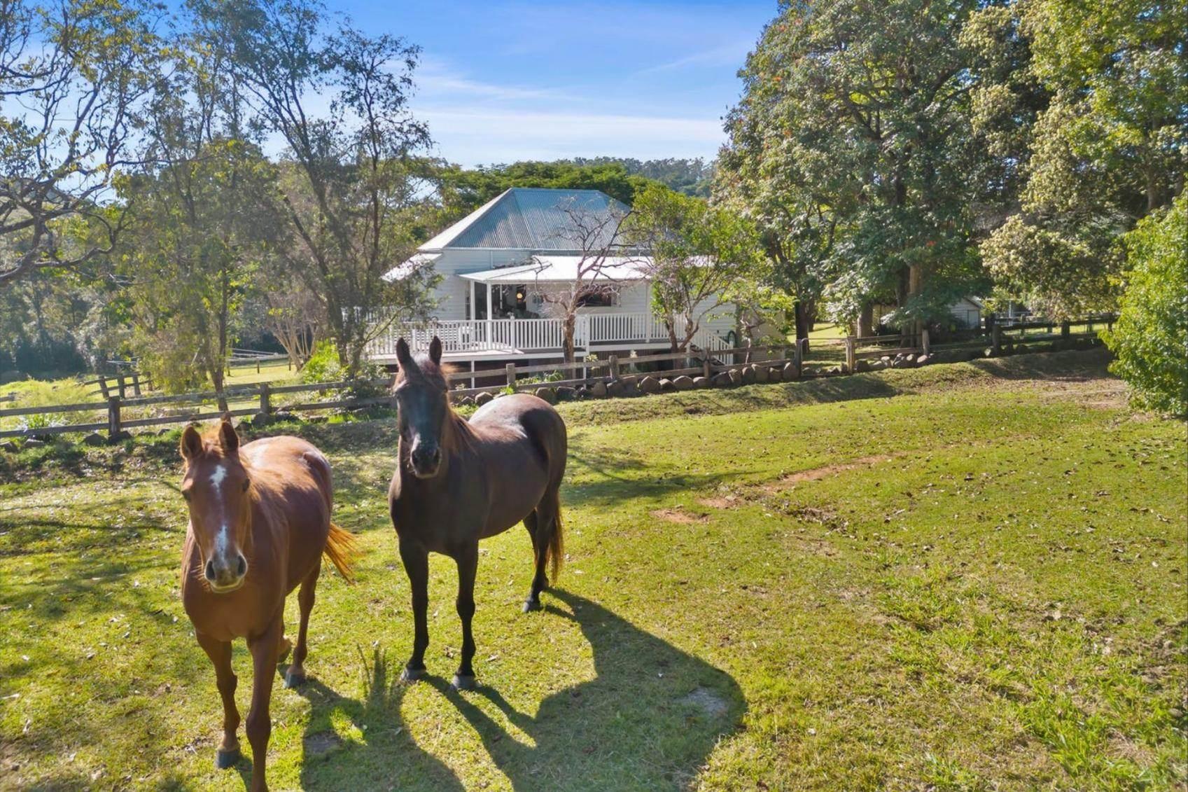 Rural Real Estate For Sale Noosa Hinterland