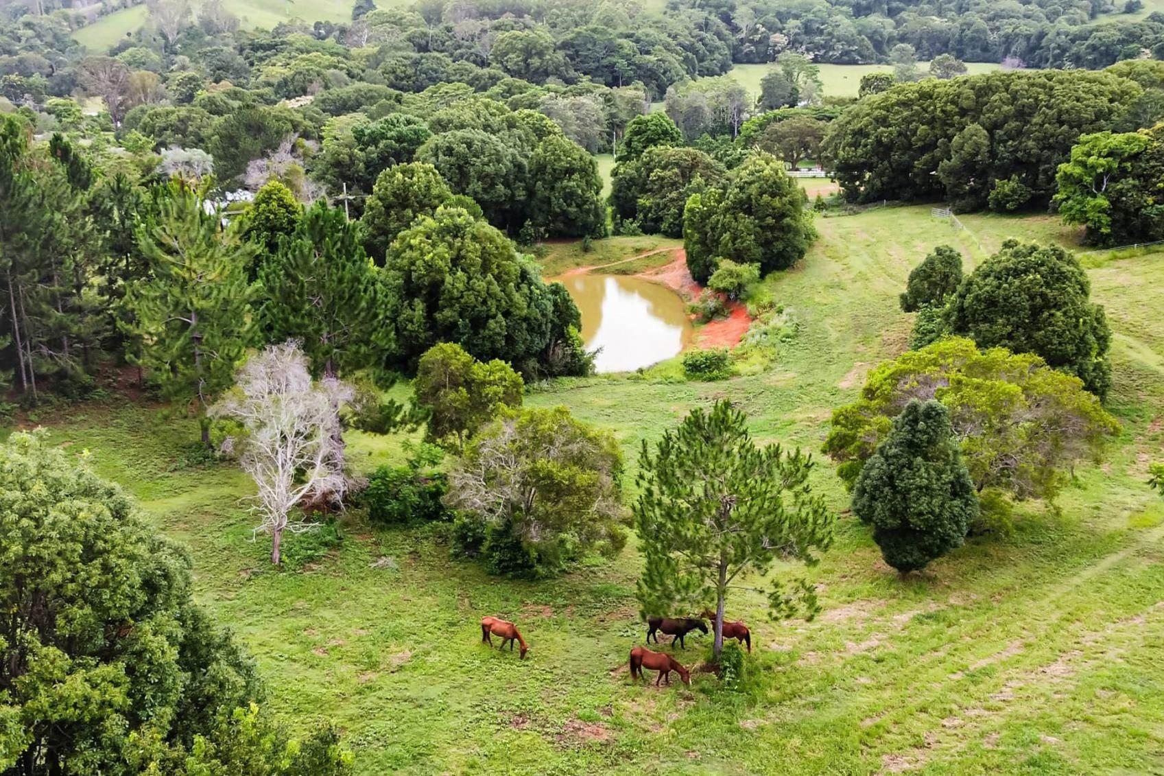 Rural Real Estate For Sale Noosa Hinterland