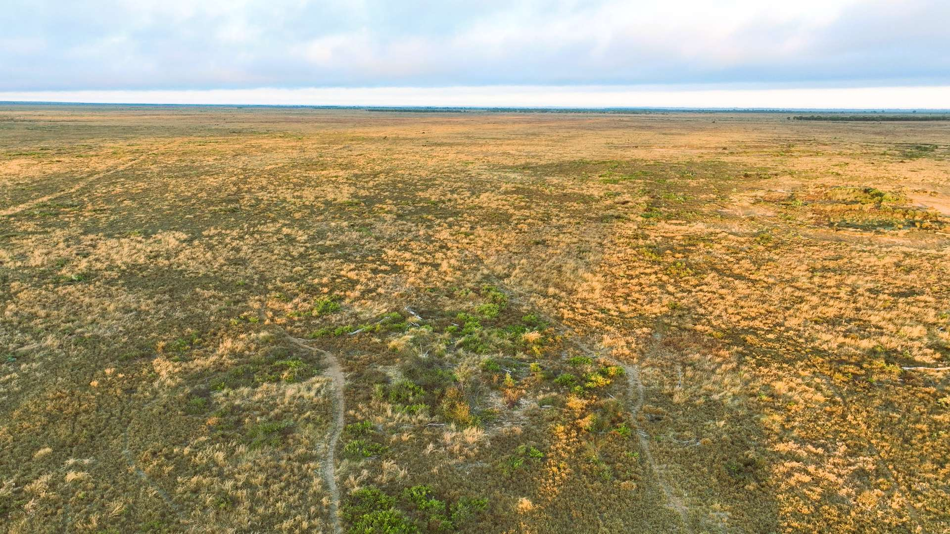 Cattle Station For Sale QLD