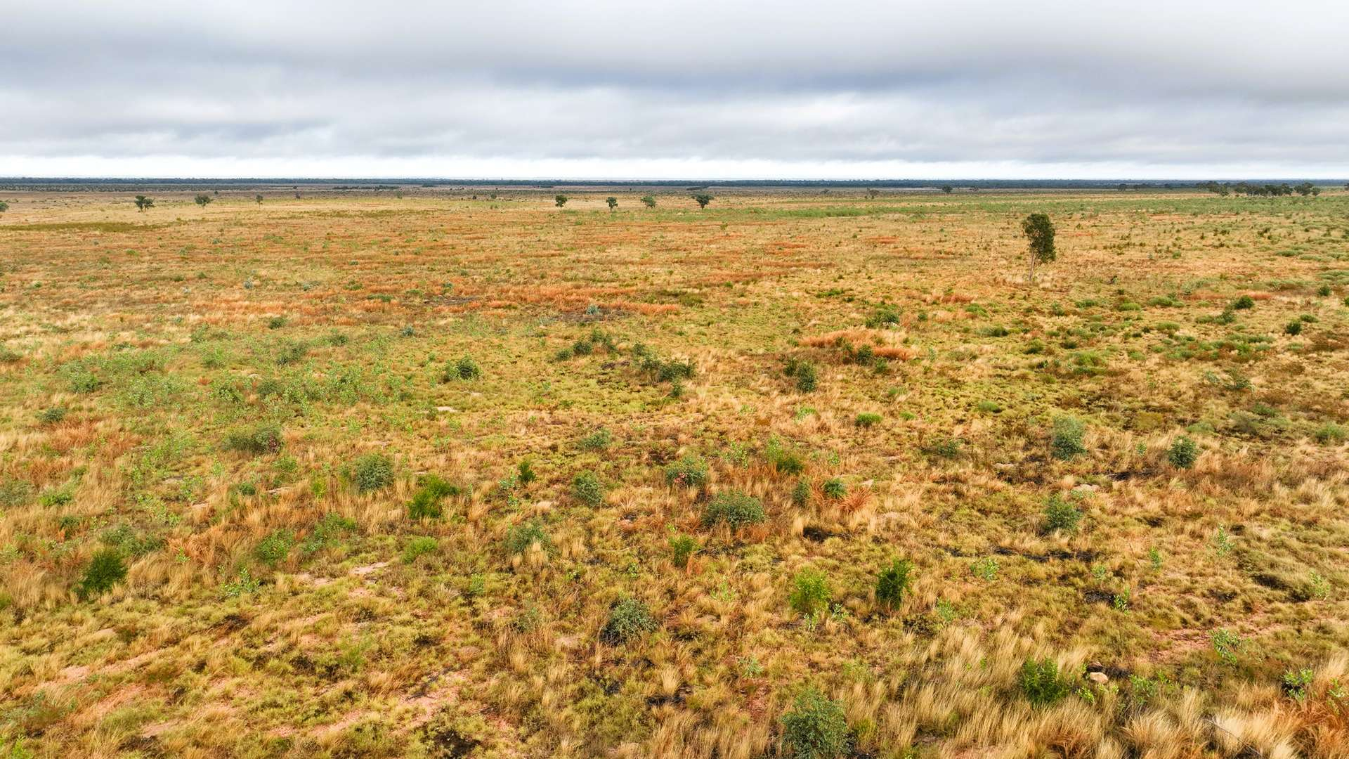 Cattle Station For Sale QLD