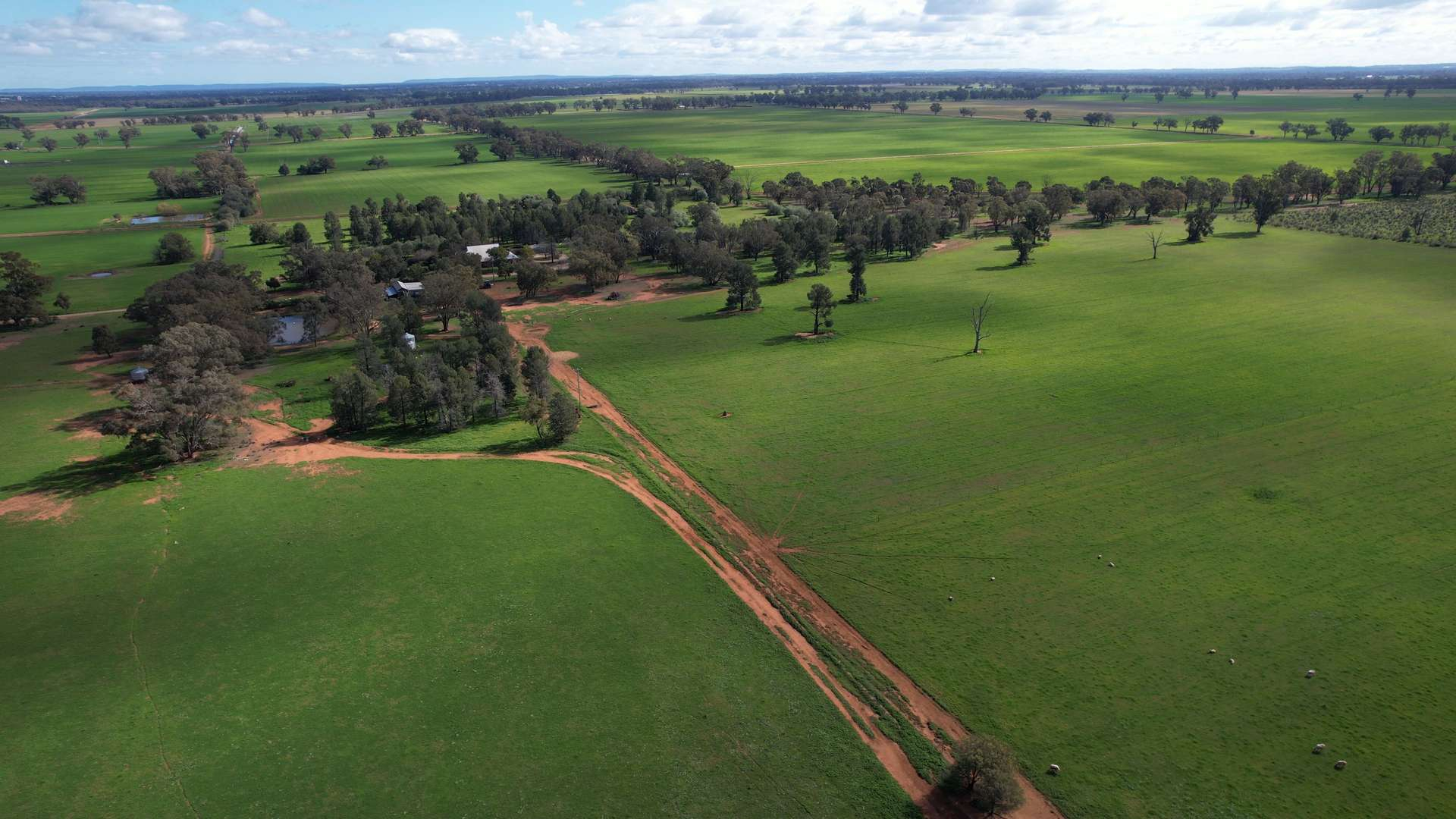 Mixed Farm For Sale NSW