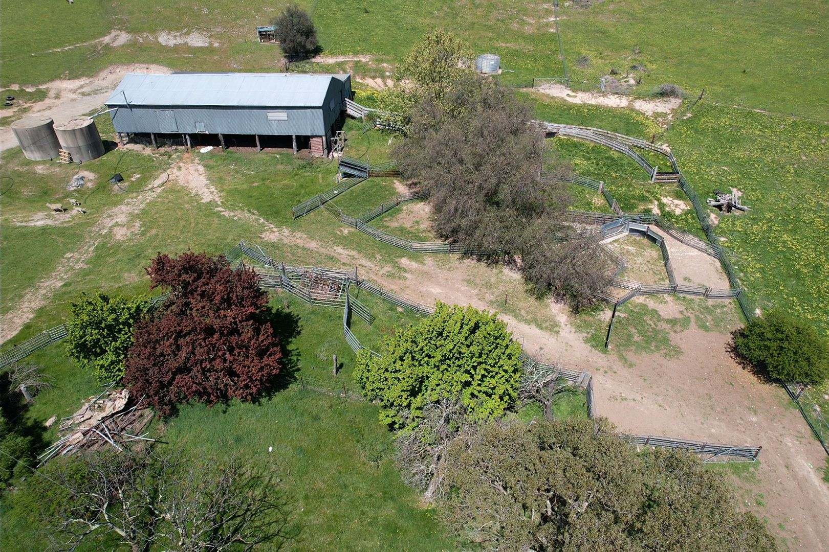 rural property for sale NSW