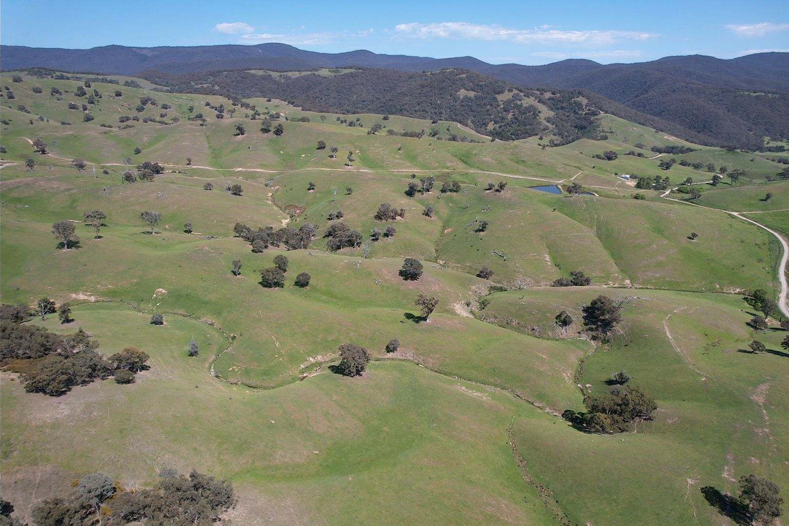 rural property for sale NSW