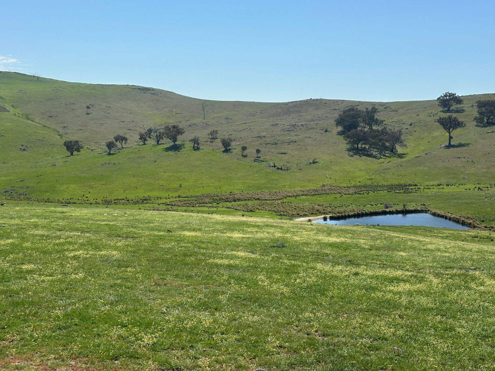 rural property for sale NSW