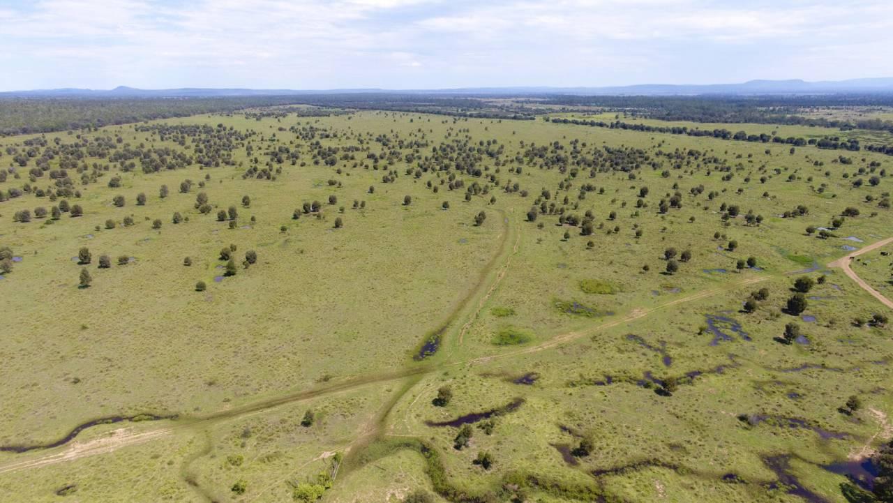 Cattle Property For Sale Qld