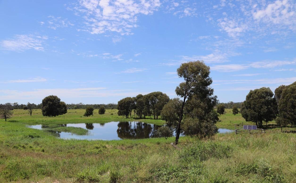 Cattle Property For Sale Qld